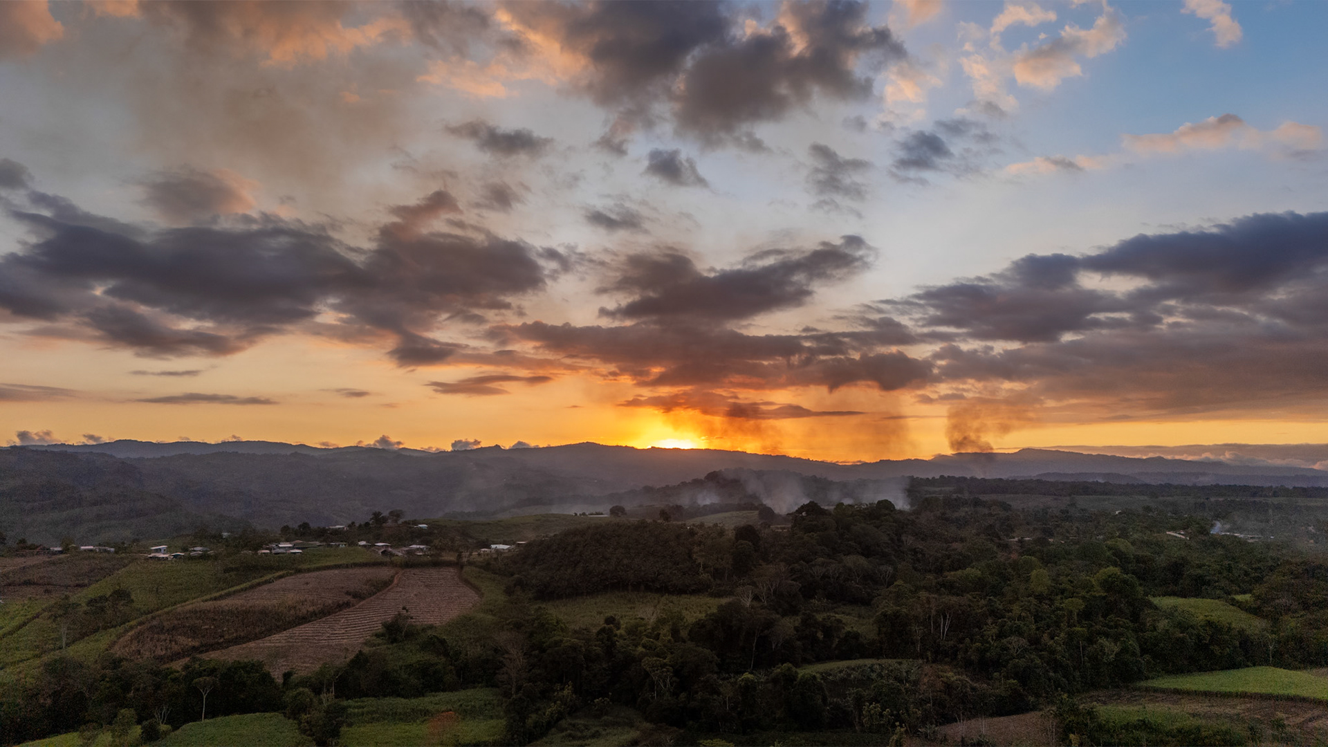 Sugarcane Burning | Pérez Zeledón, Costa Rica