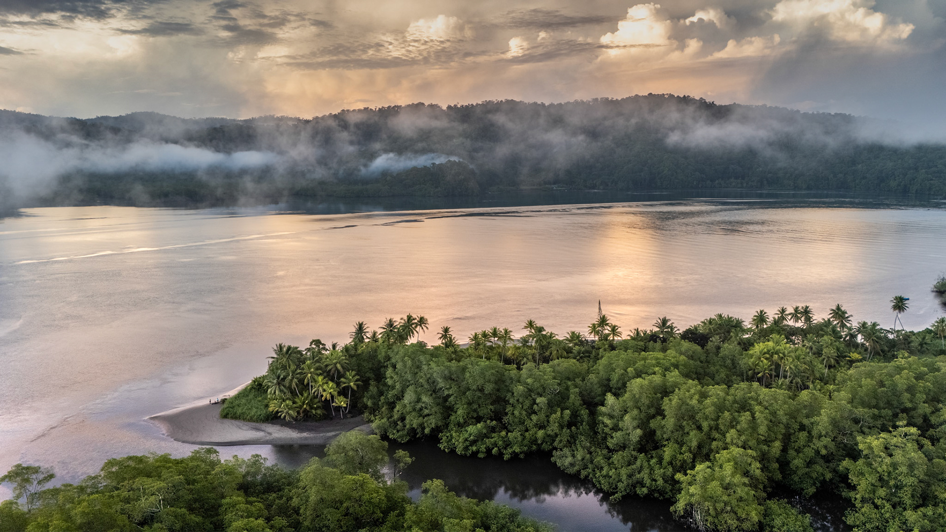Sierpe Estuary | Isla Violín, Costa Rica