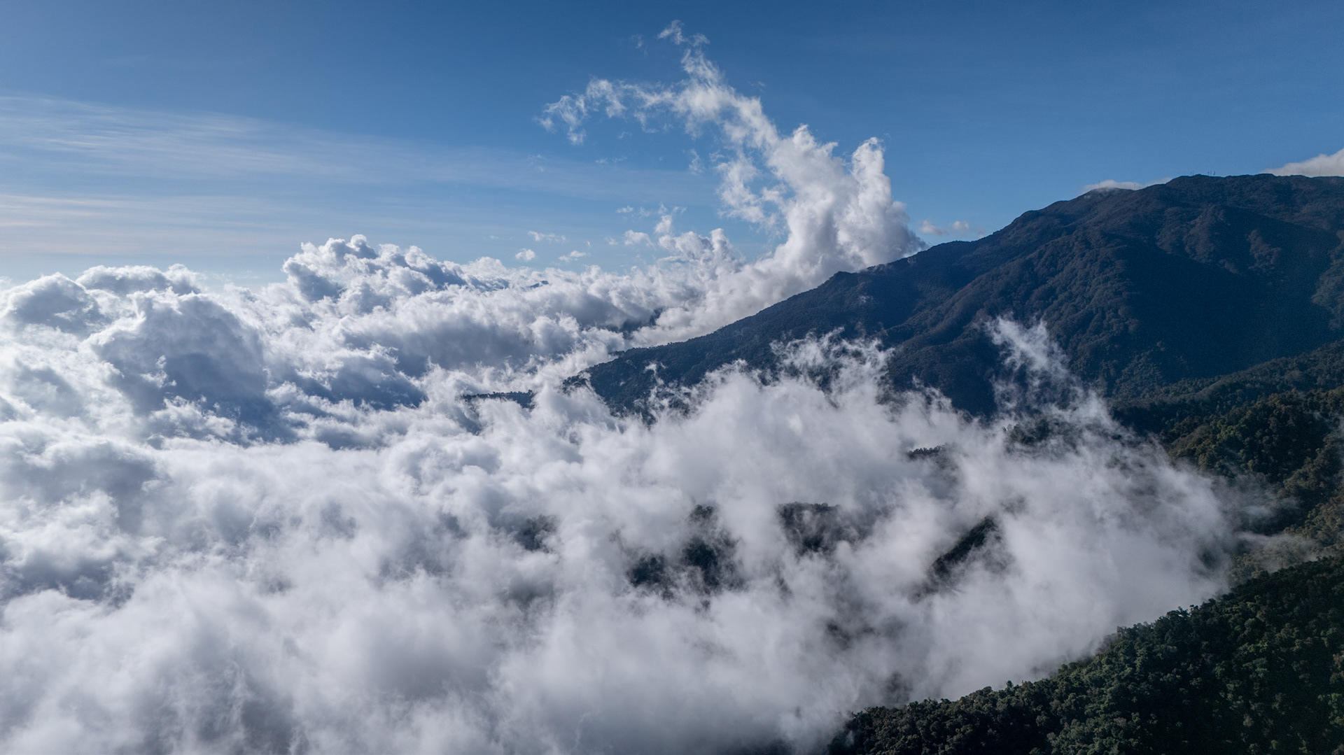 Cloud Forest | Pérez Zeledón, Costa Rica