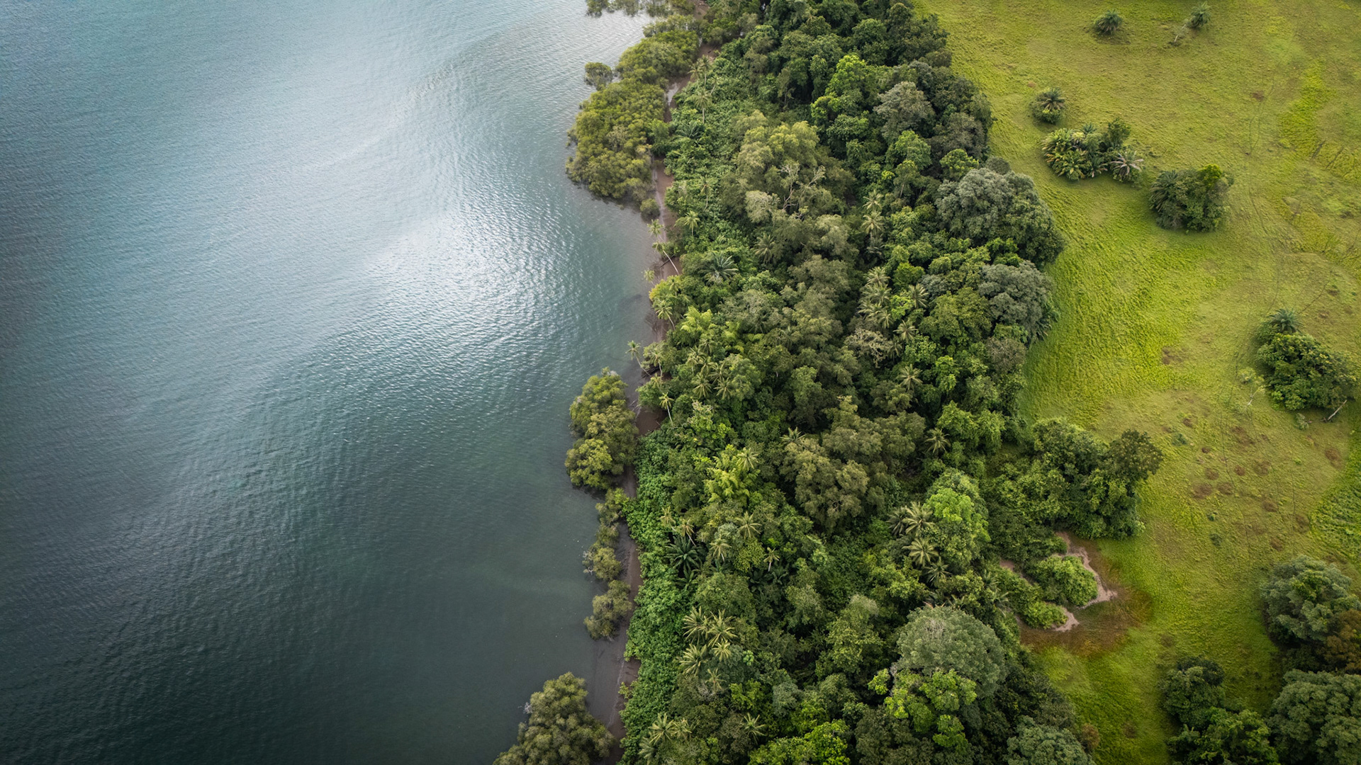 Playa Sándalo | Osa Peninsula, Costa Rica