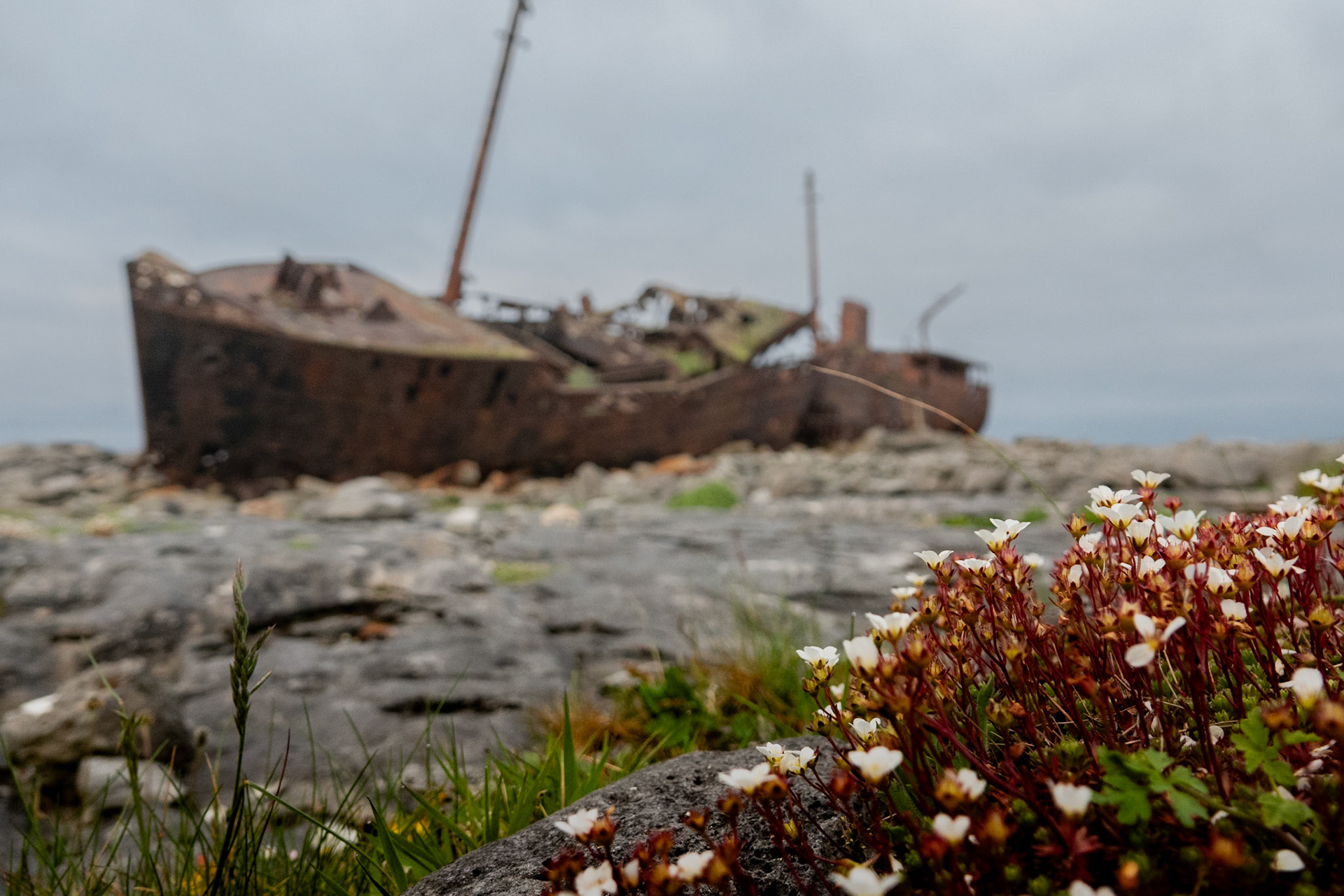 Inis Oírr | Aran Islands, Co. Galway