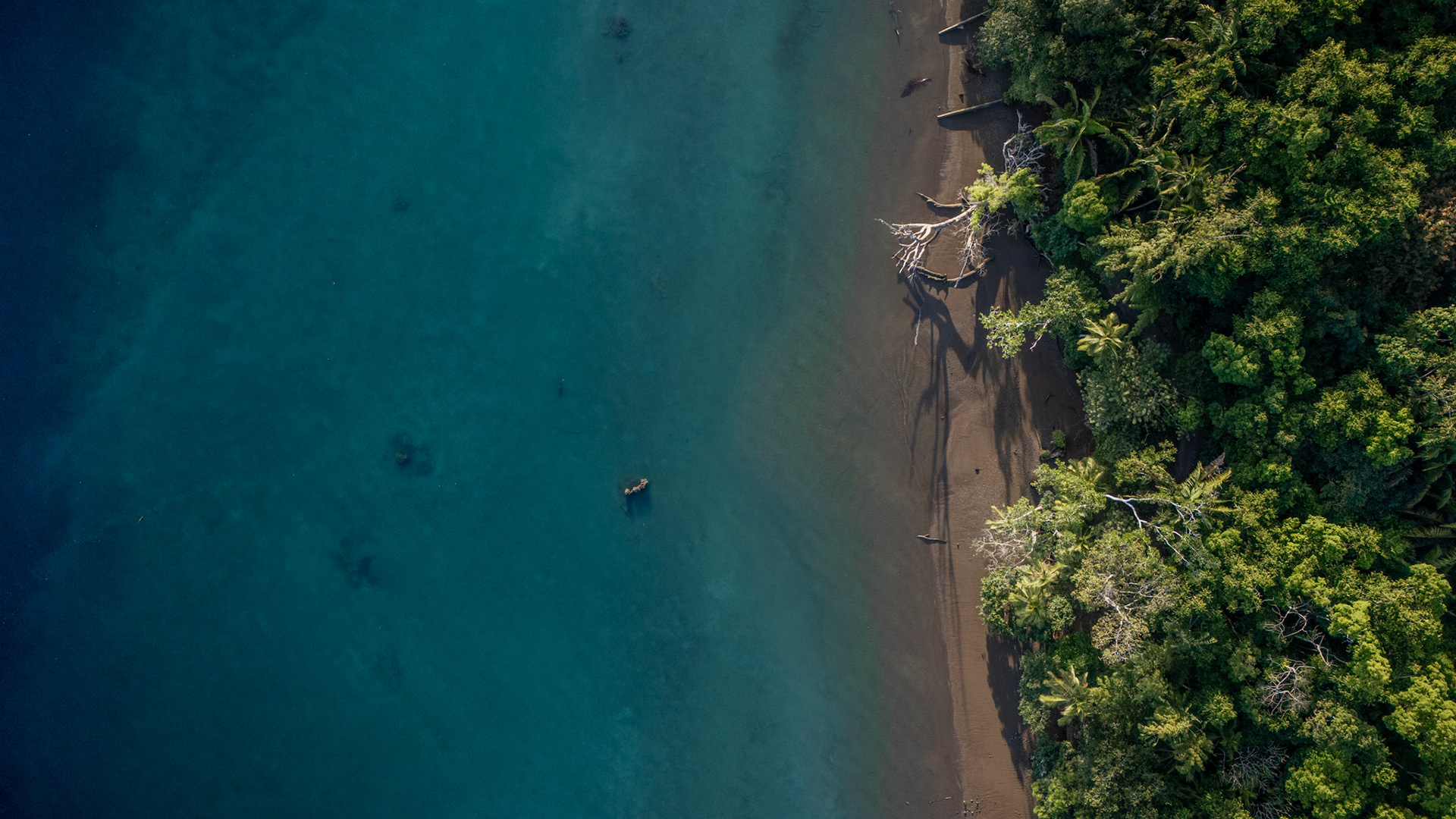 Playa Juanito Mora | Osa Peninsula, Costa Rica