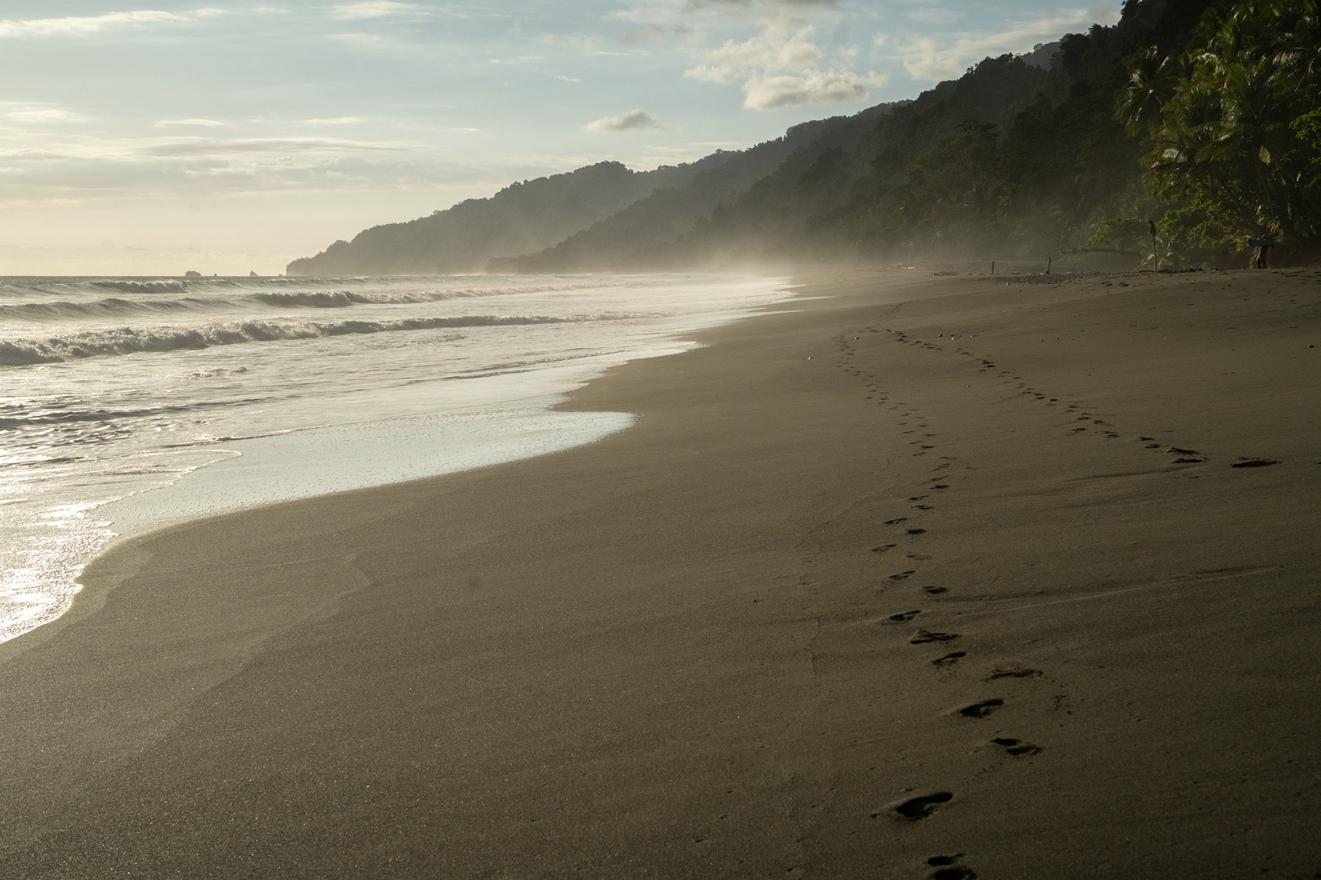 Playa Carate | Osa Peninsula
