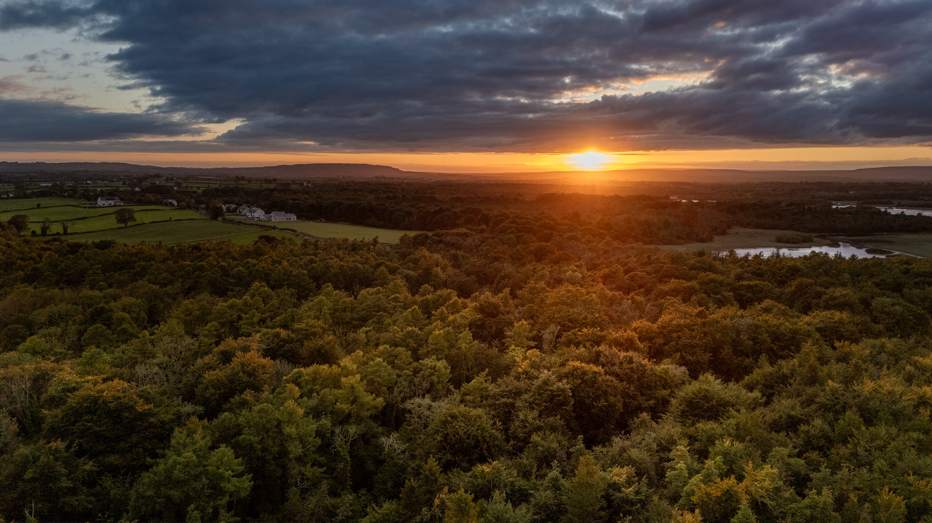 Dromore Woods | Dromore, Co. Clare