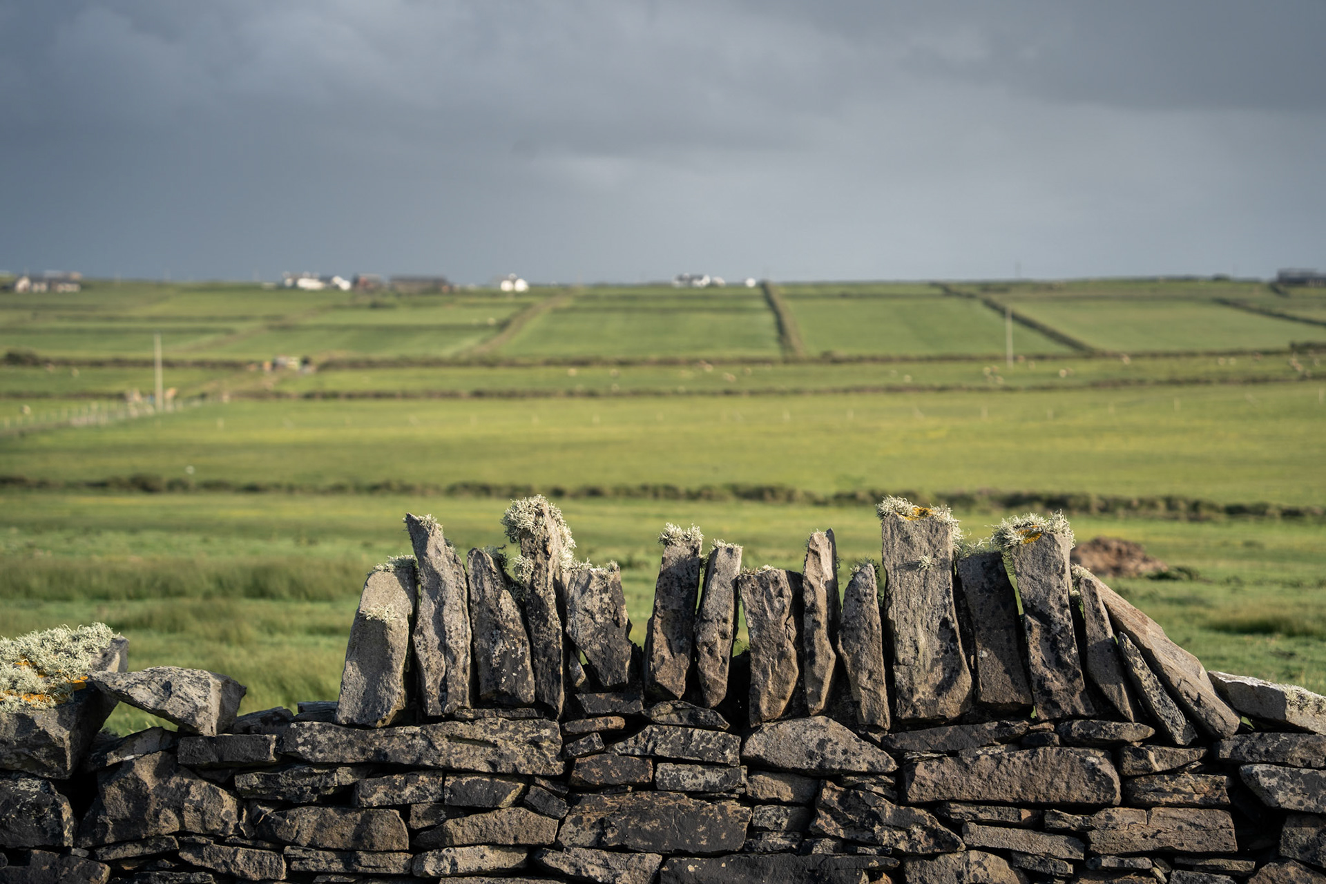 Dry Stone Wall | Kilkee Cliffs, Co. Clare