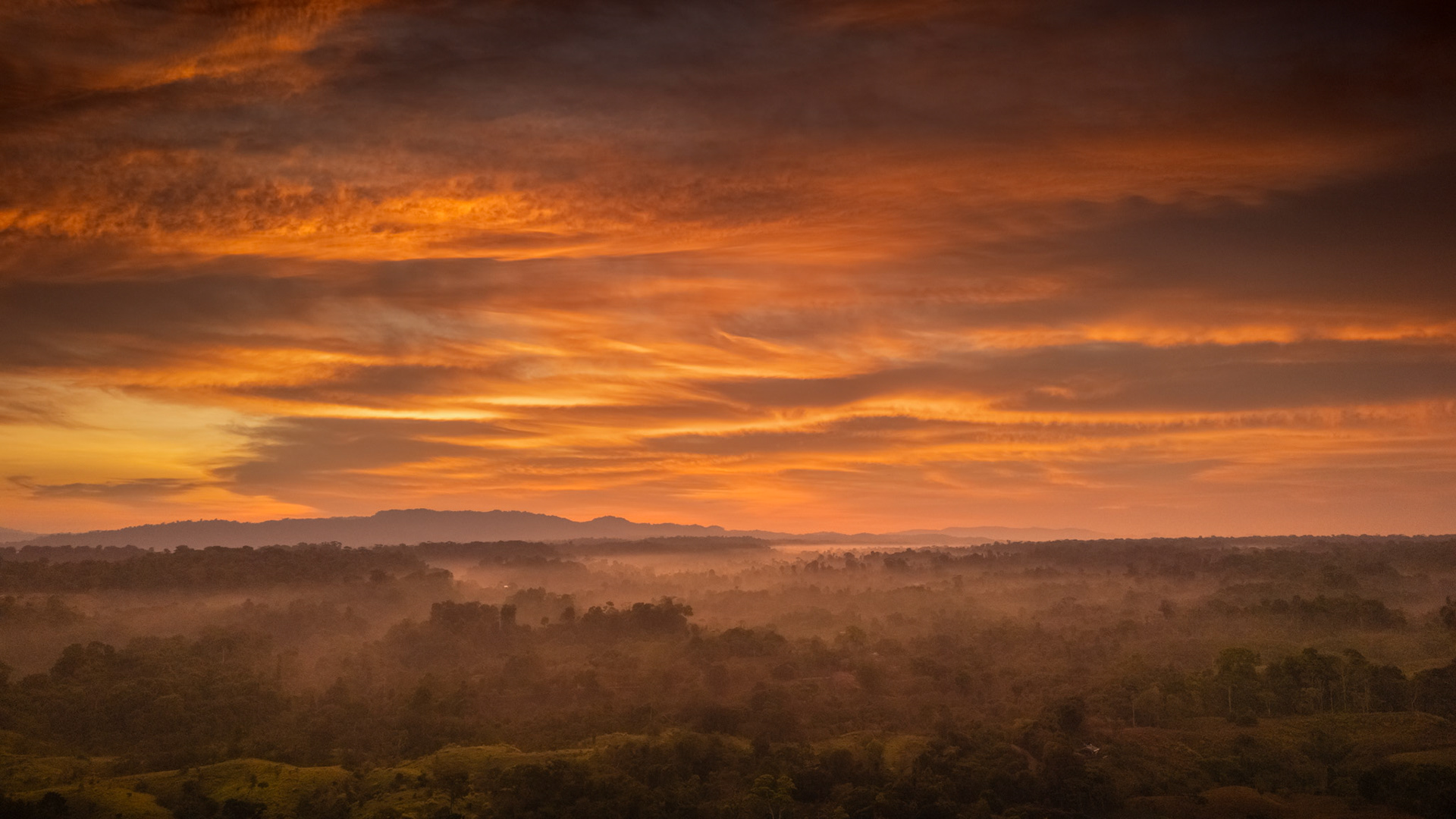 Osa Peninsula | Costa Rica