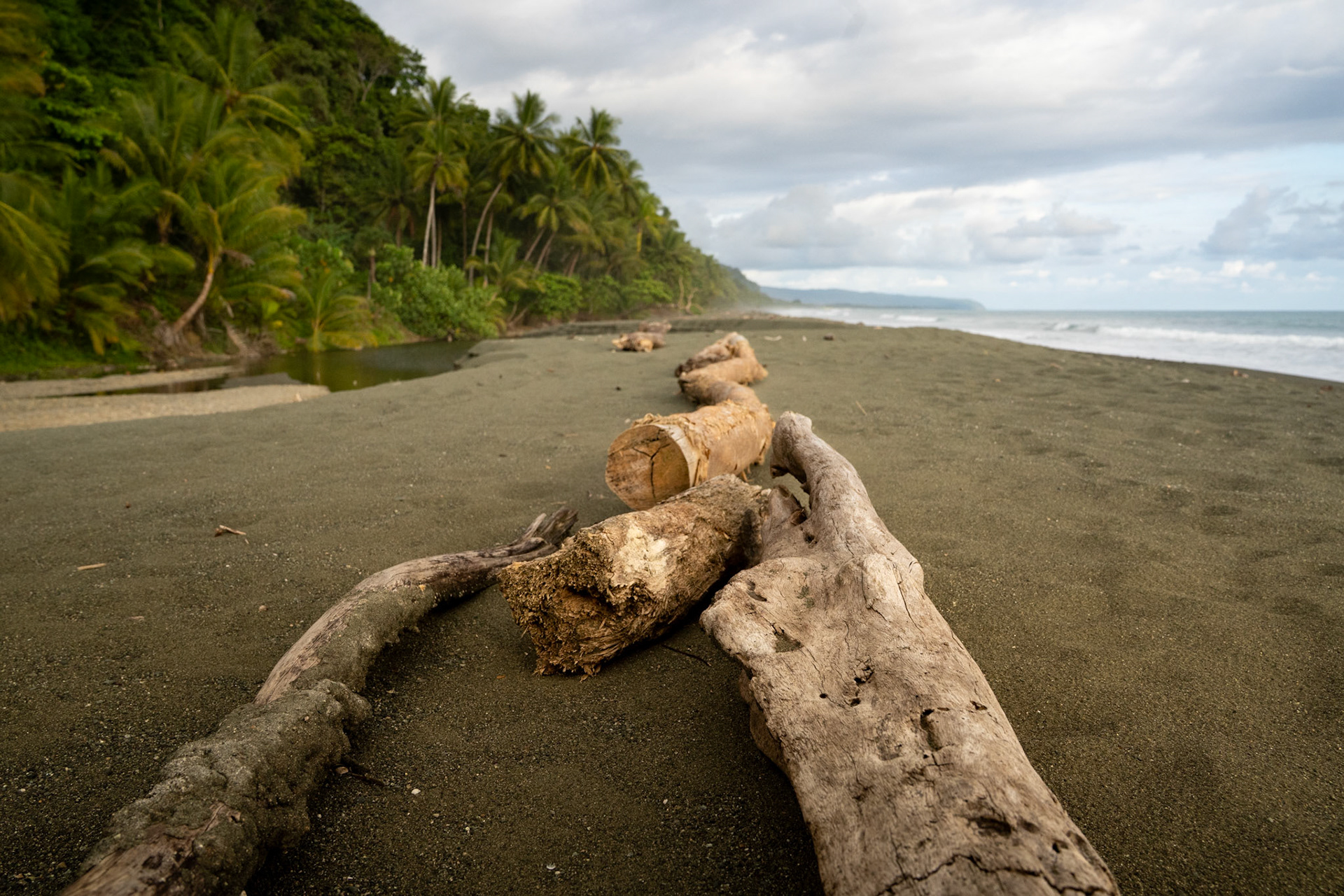 Playa Carate | Osa Peninsula