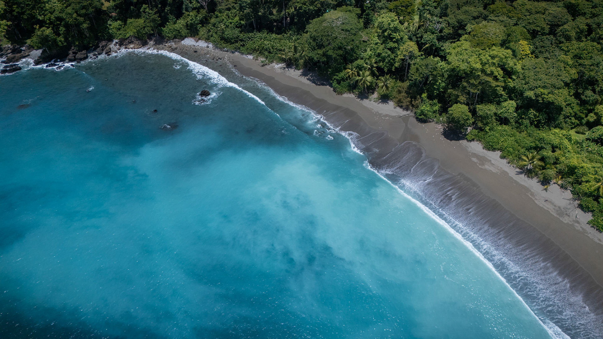 Playa Matapalo | Osa Peninsula, Costa Rica