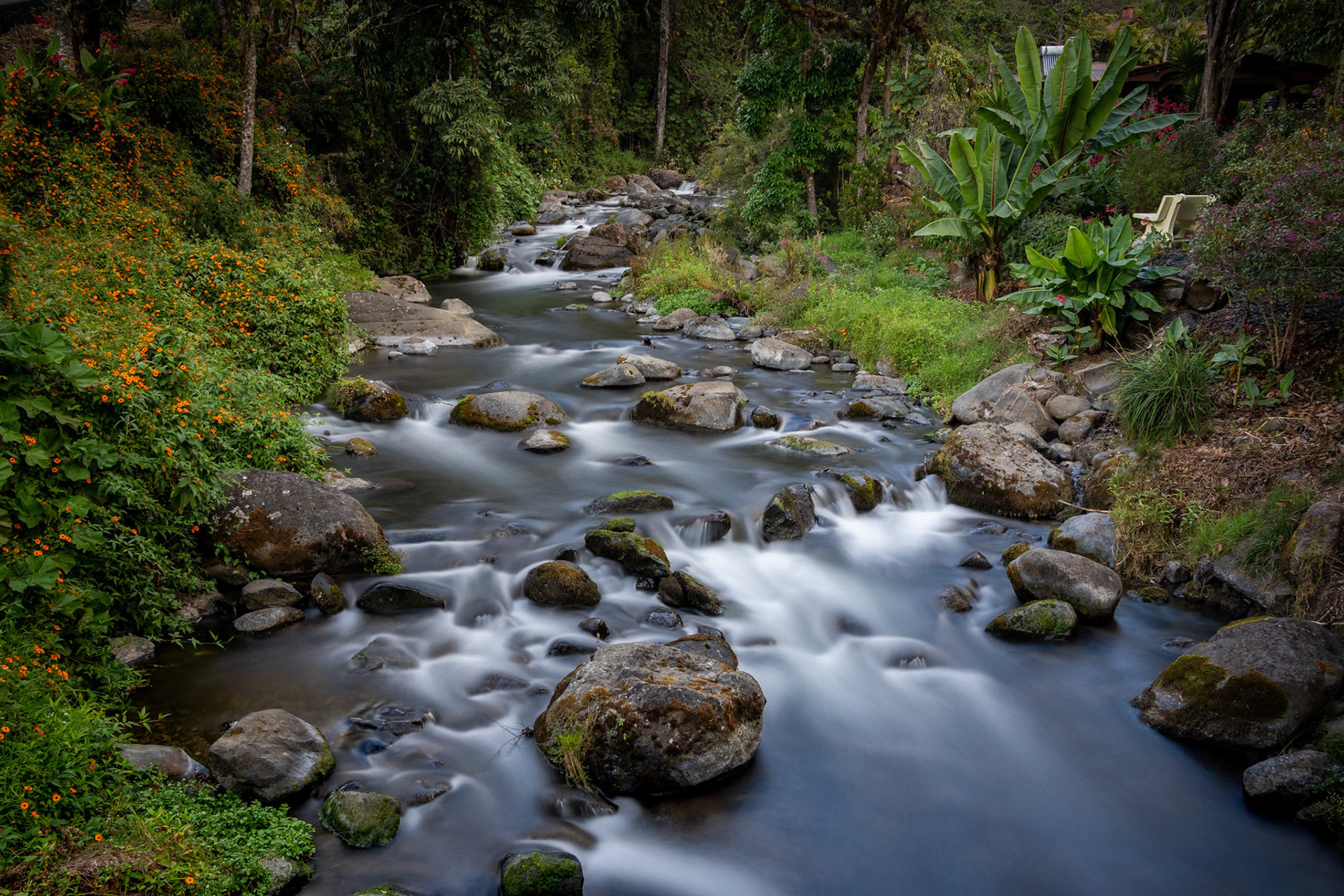 Río Savegre | San Gerardo de Dota