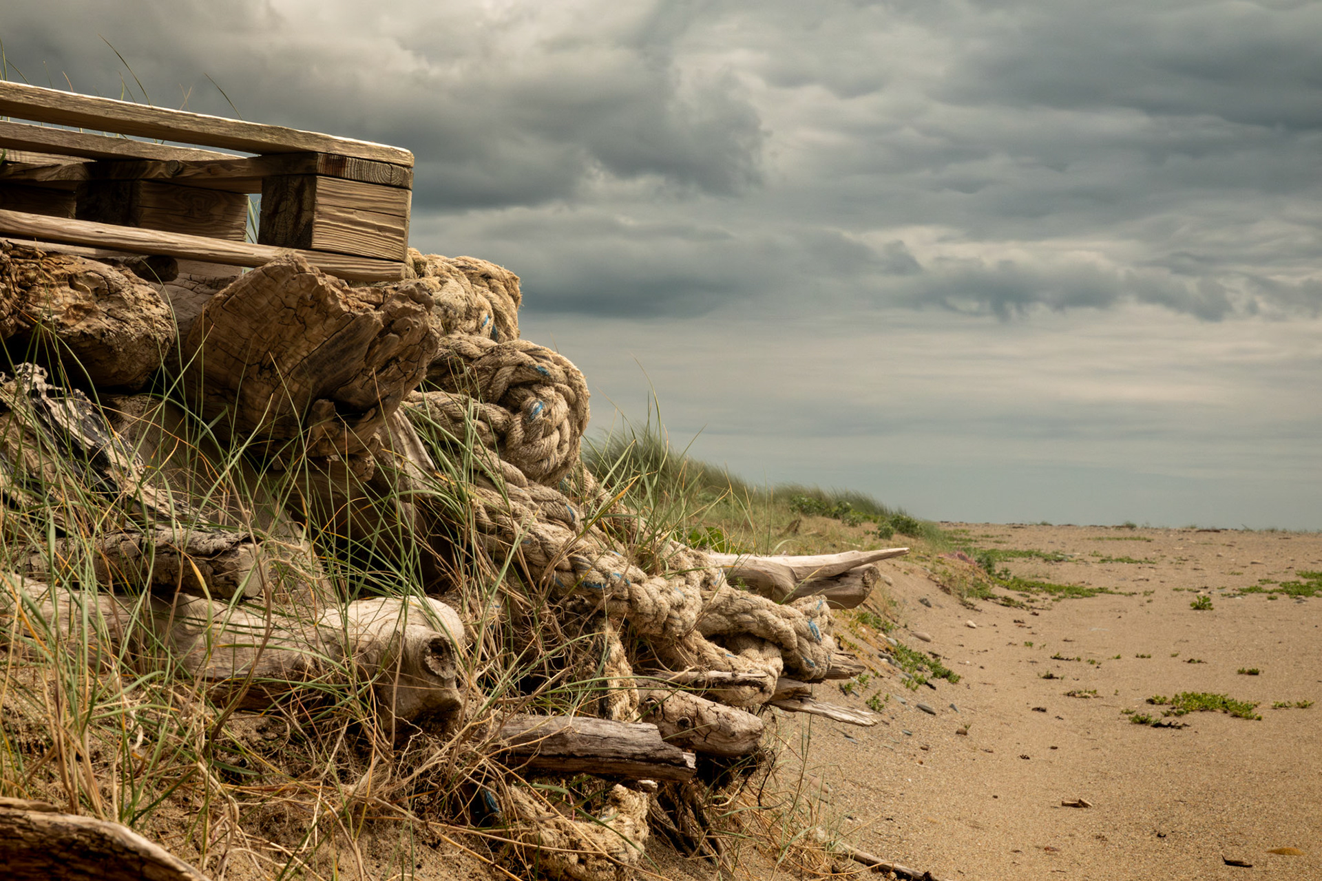 Ballyteige Burrow Beach | Co. Wexford