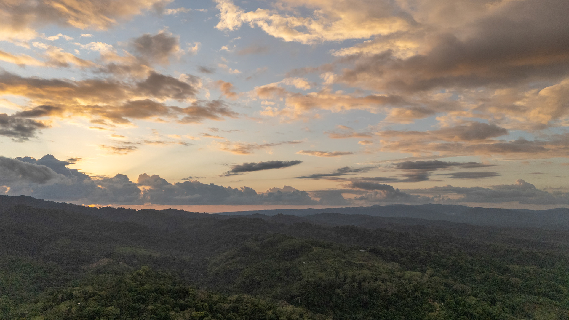 Corcovado National Park | Osa Peninsula, Costa Rica