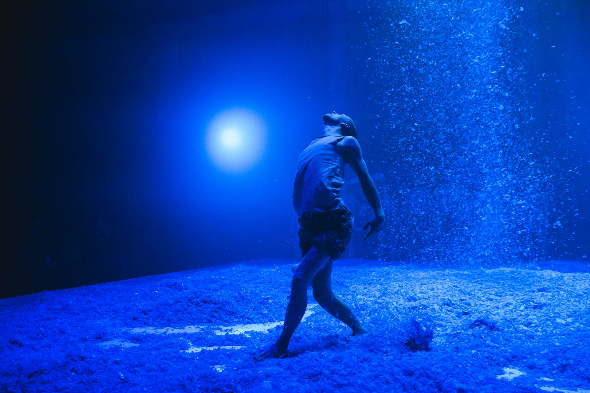 Šeiko Dance Company