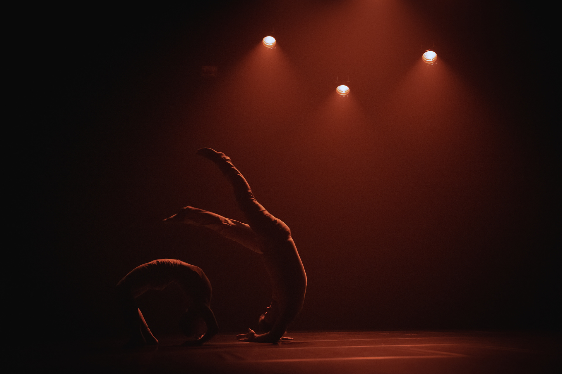 "Plartforma" Festival, LT