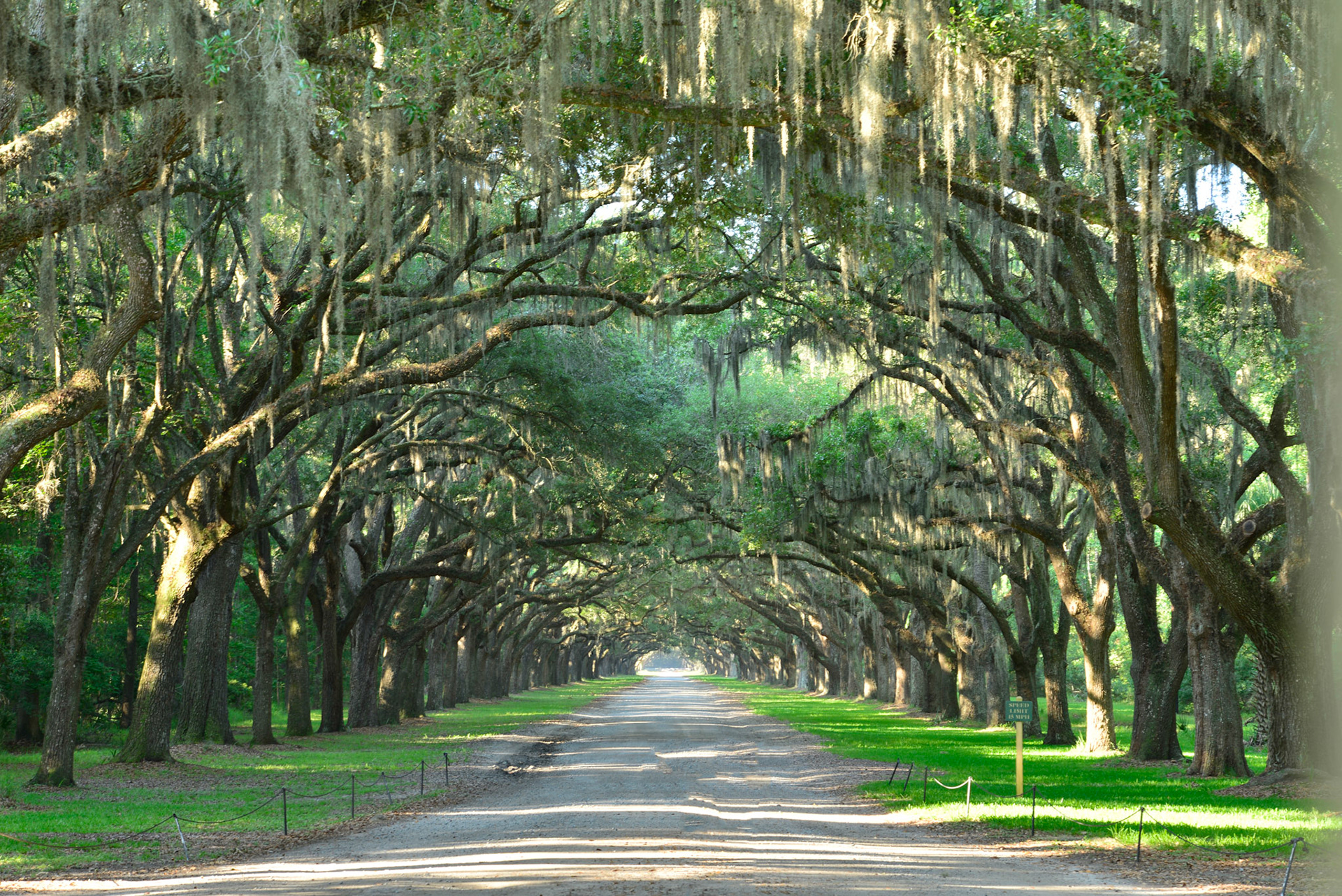 Wormsloe Historic Site