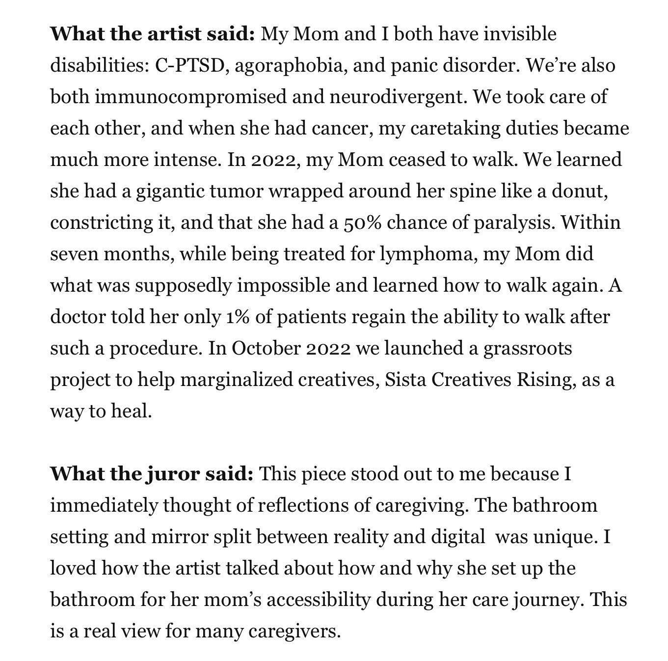Artist Statement & Judge Comments