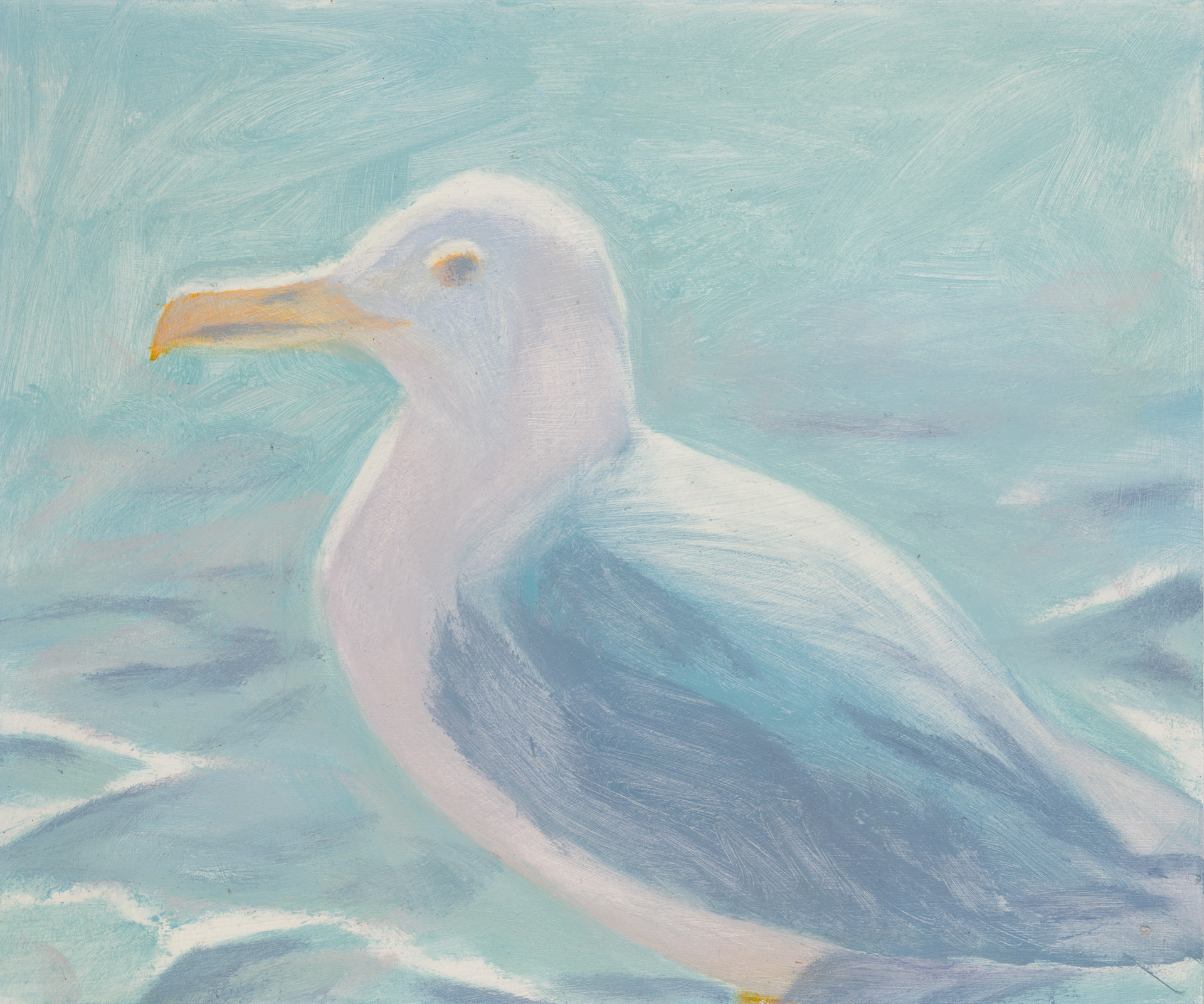 Uccelli di Roma 10_2024_25x30cm_acrylic on hardboard