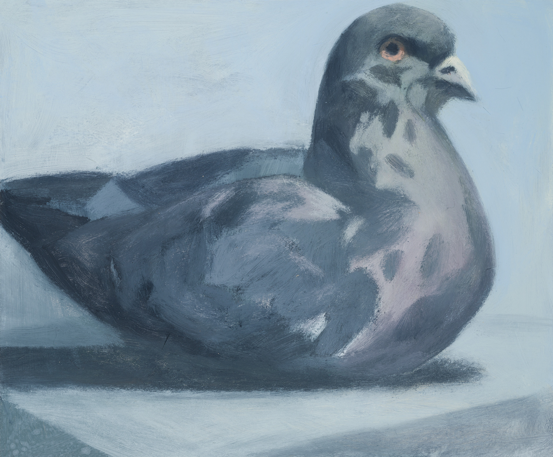 Uccelli di Roma XXIV, 2024, 25x30 cm, acrylic on hardboard