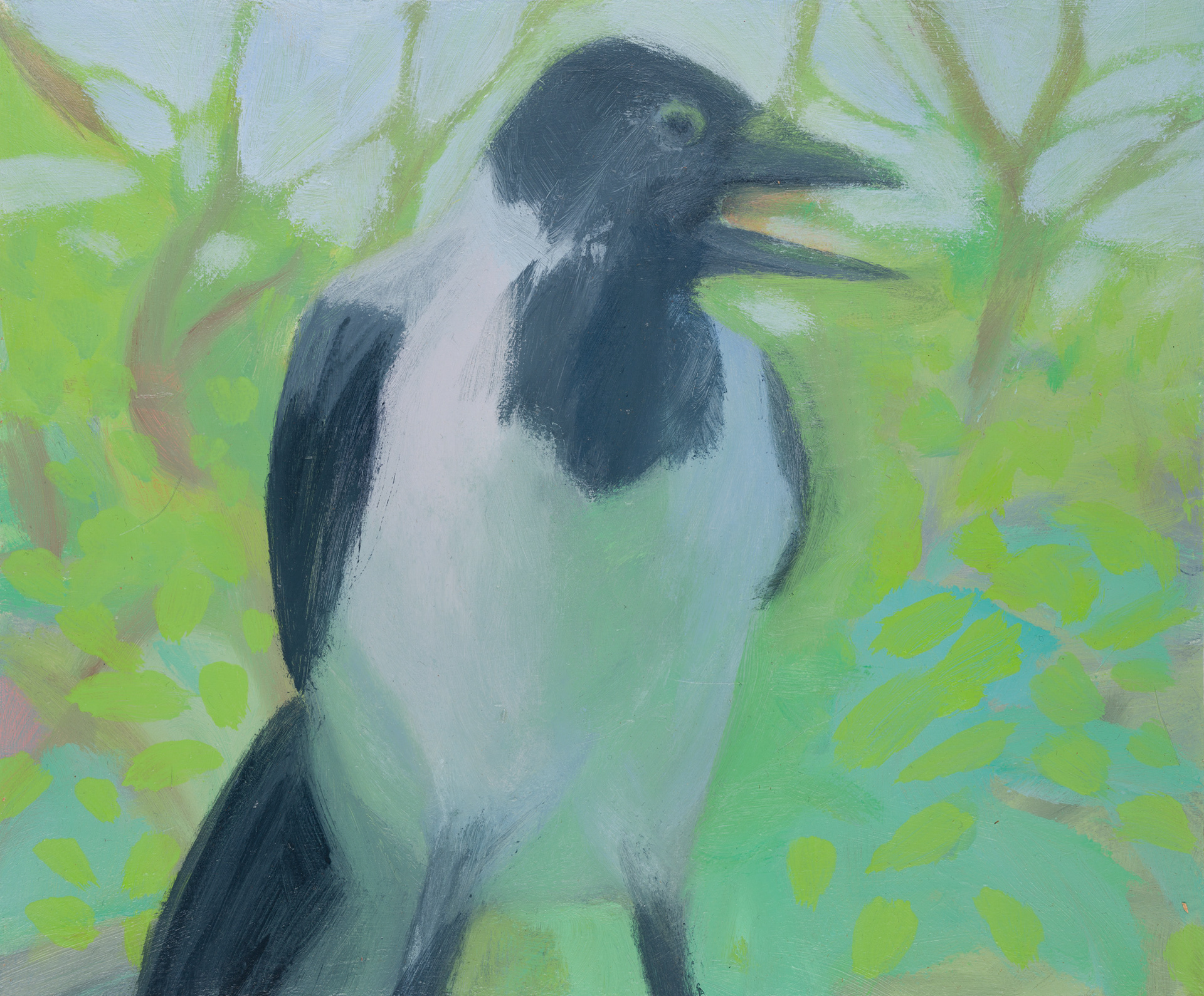 Uccelli di Roma 51_2024_25x30cm_acrylic on hardboard