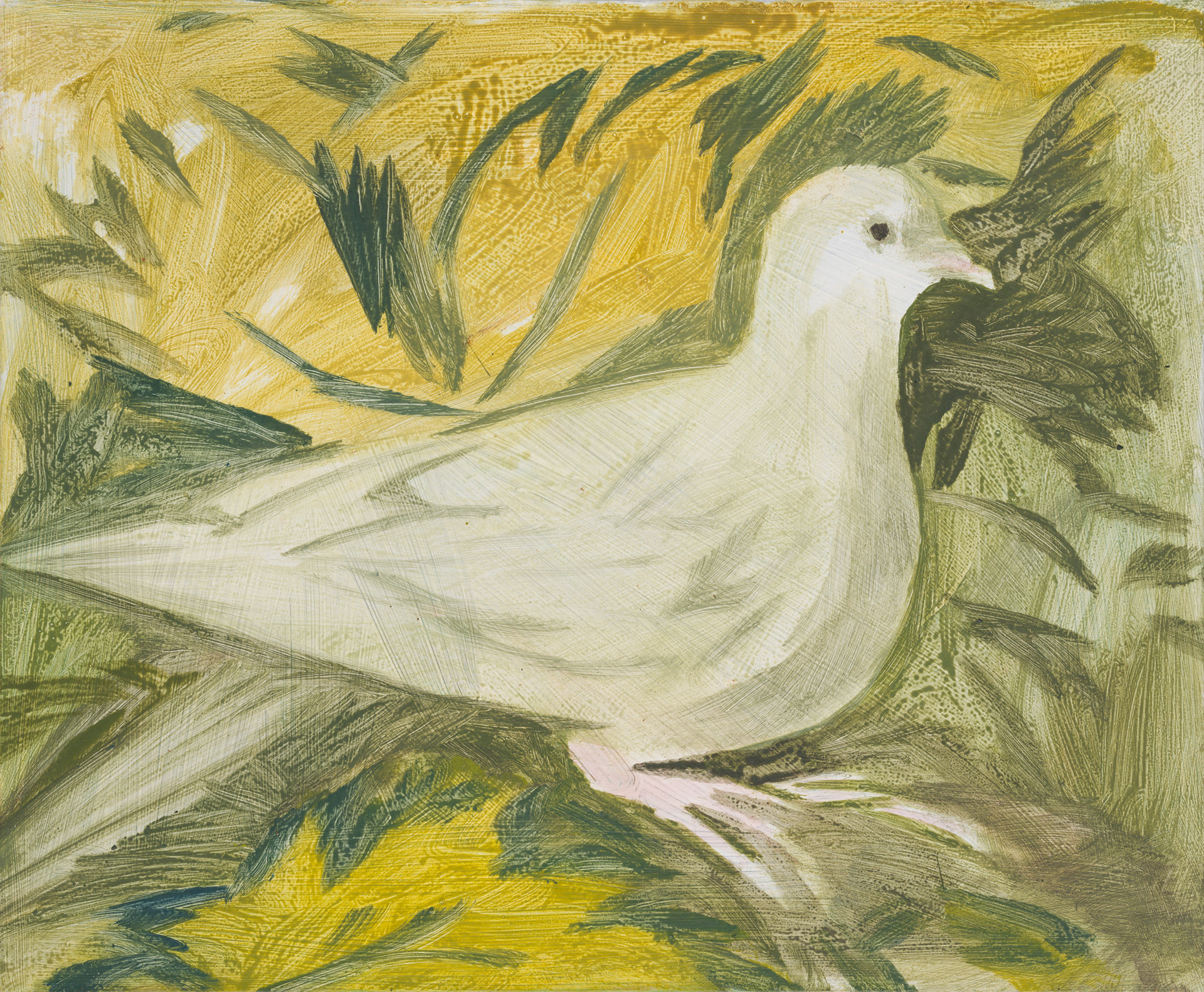 Uccelli di Roma 04_2024_25x30cm_acrylic on hardboard