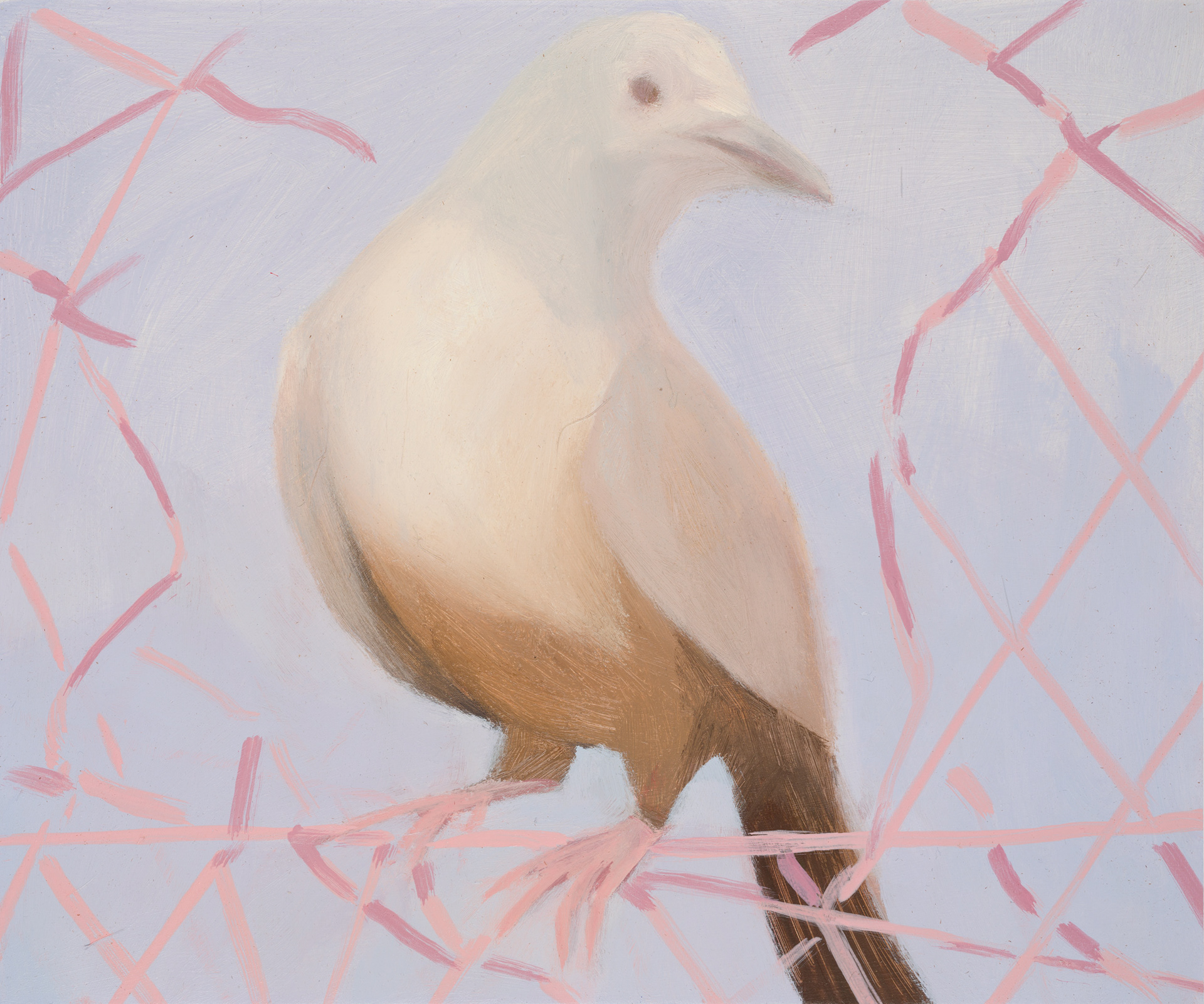 Uccelli di Roma 52_2024_25x30cm_acrylic on hardboard