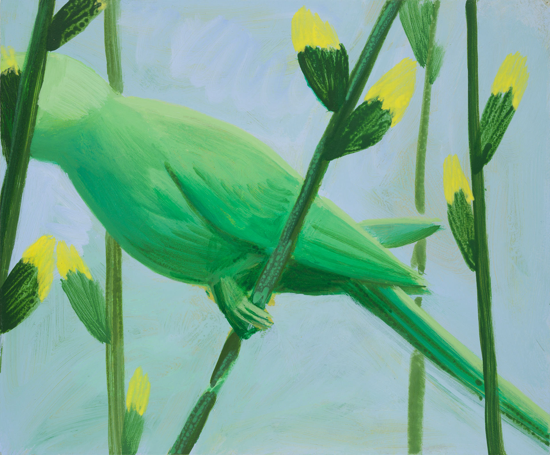 Uccelli di Roma 39_2024_25x30cm_acrylic on hardboard