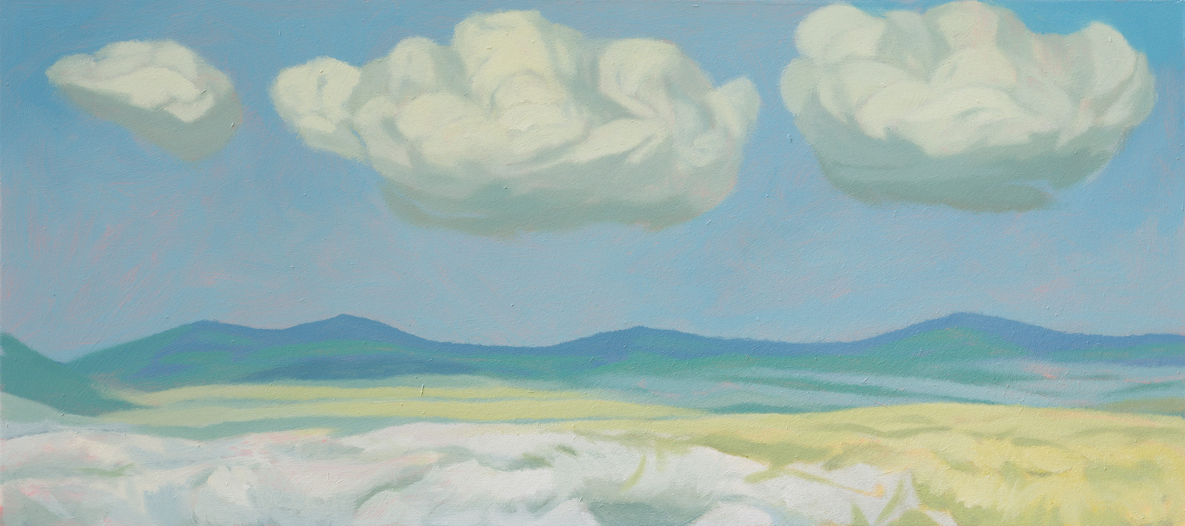 Superlandscape 30_2022_100x45cm_acrylic on hardboard