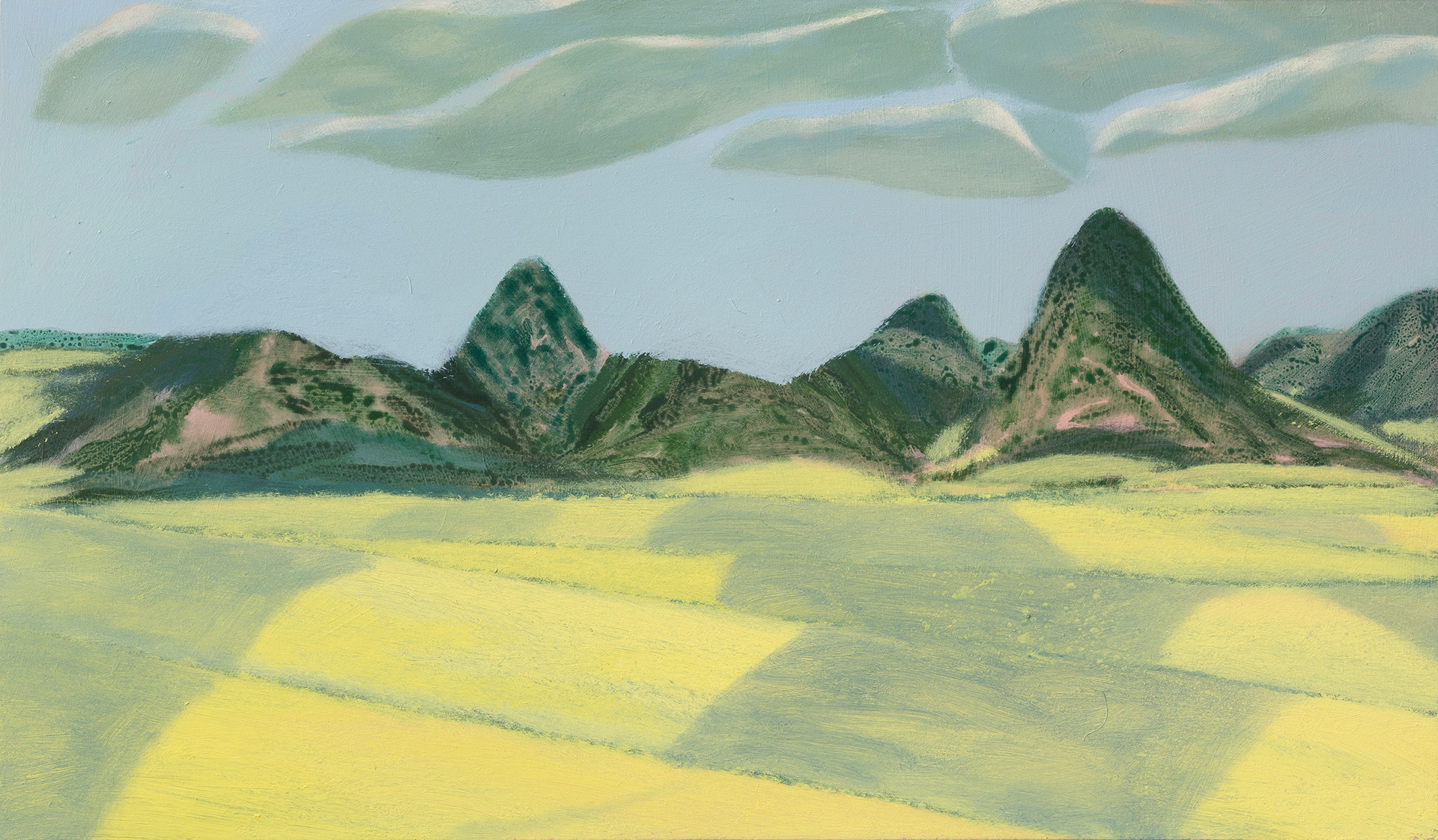 Superlandscape 08_2022_76x44.5cm_acrylic on hardboard