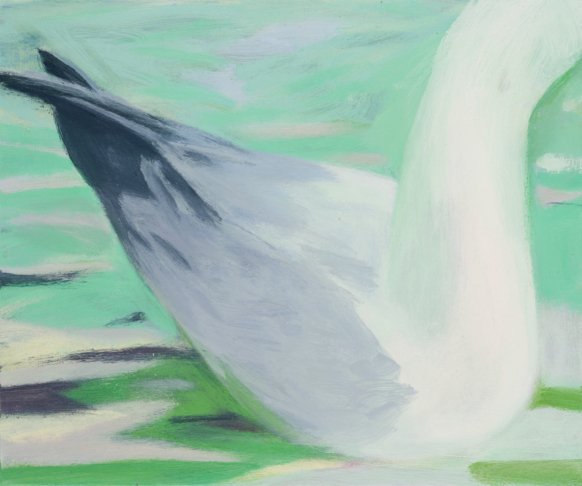 Uccelli di Roma 01_2024_25x30cm_acrylic on hardboard