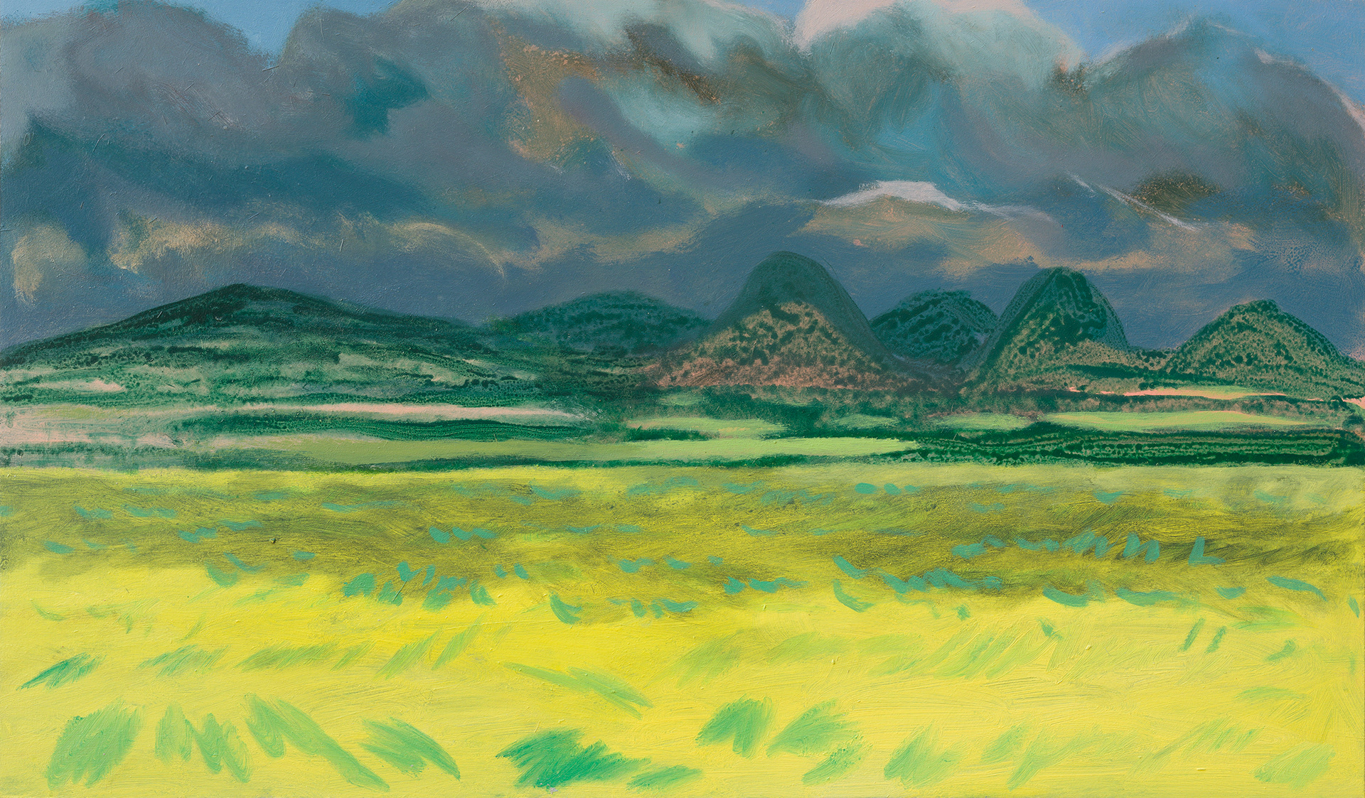 Superlandscape 01_2022_75x44.5cm_acrylic on hardboard