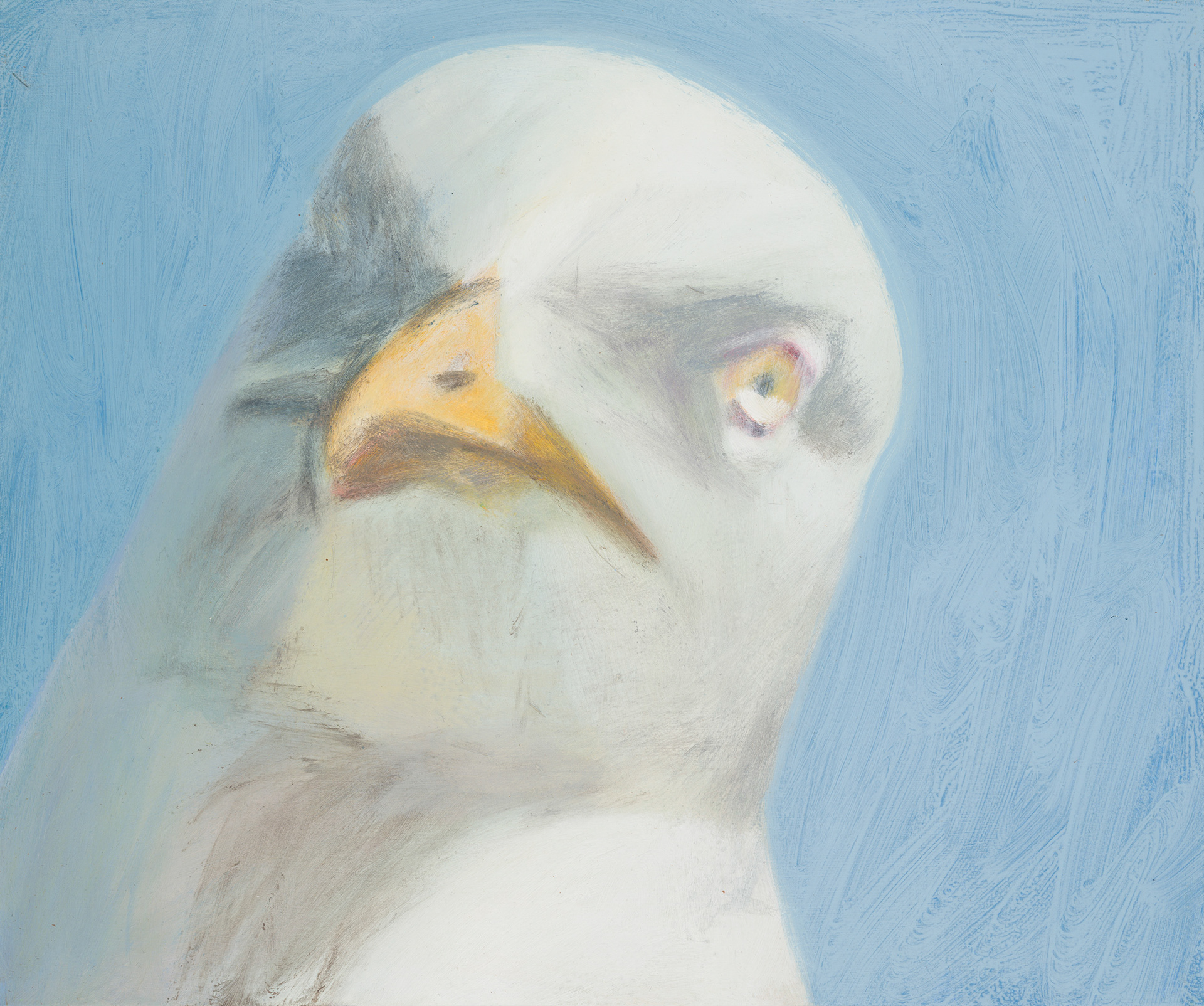 Uccelli di Roma 08_2024_25x30cm_acrylic on hardboard