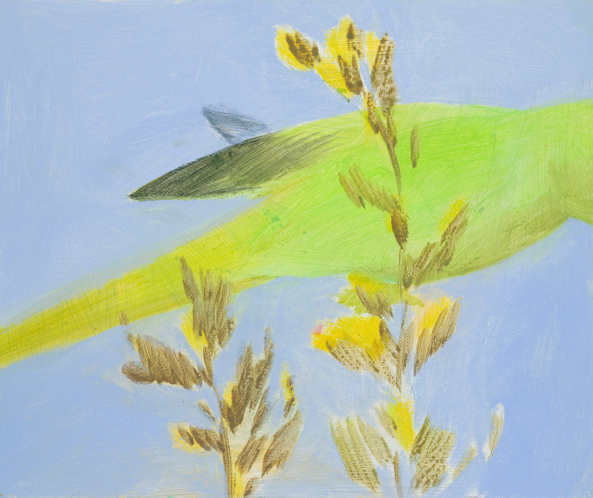 Uccelli di Roma XXIII, 2024, 25x30 cm, acrylic on hardboard