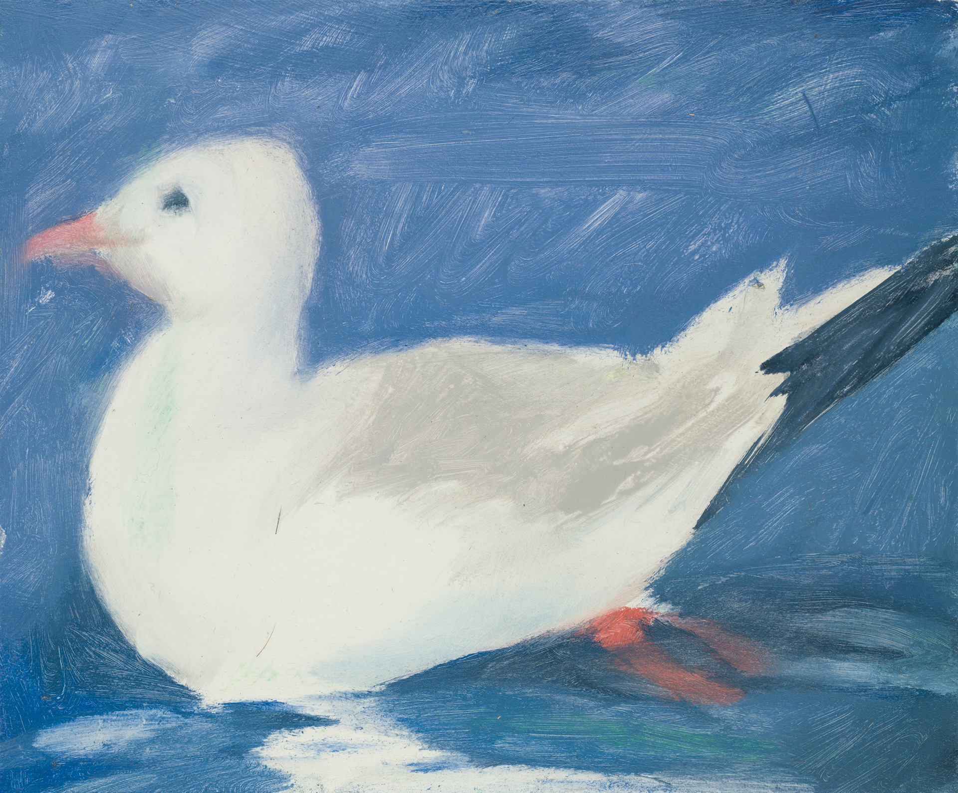 Uccelli di Roma 36_2024_25x30cm_acrylic on hardboard