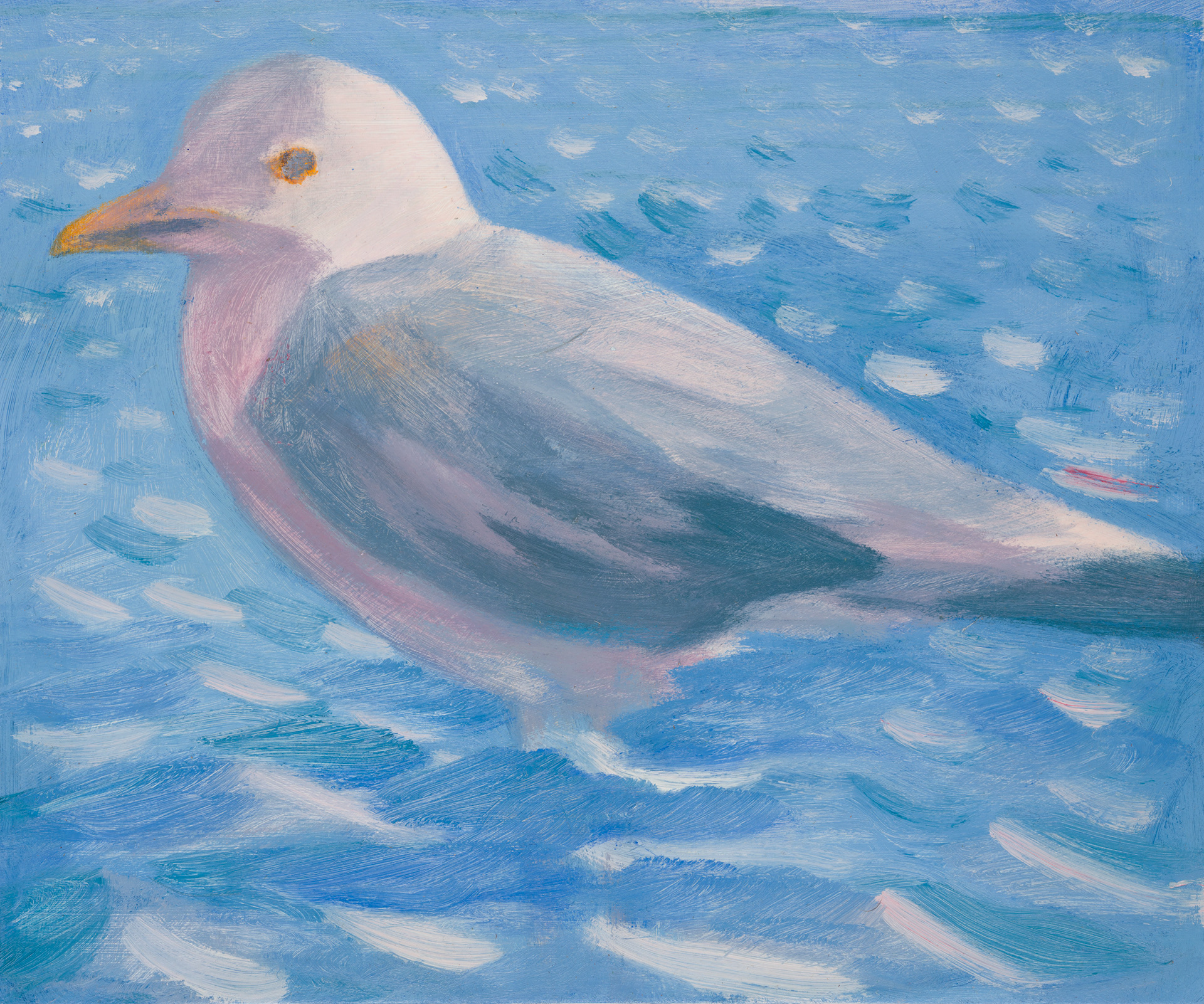 Uccelli di Roma 38_2024_25x30cm_acrylic on hardboard