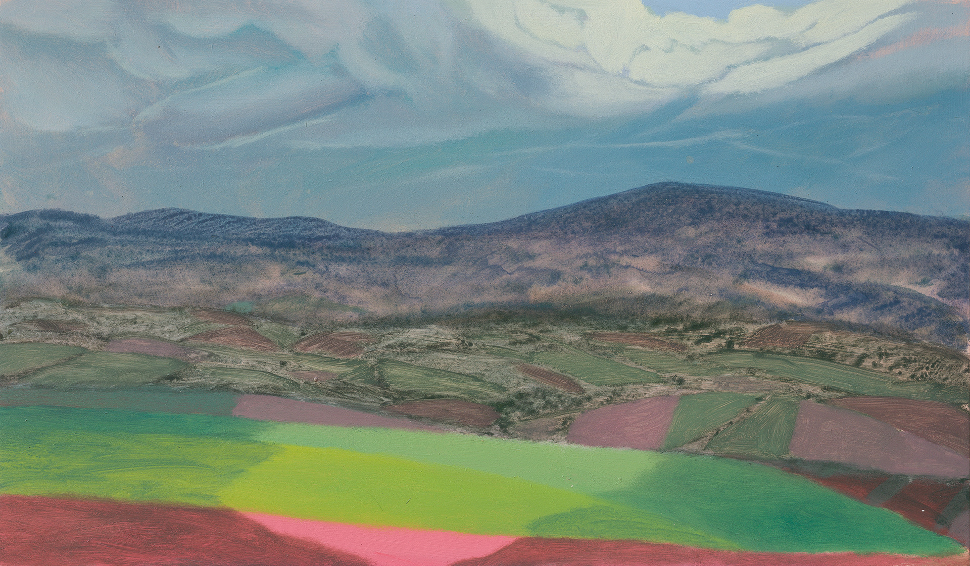 Superlandscape 11_2022_75x44.5cm_acrylic on hardboard