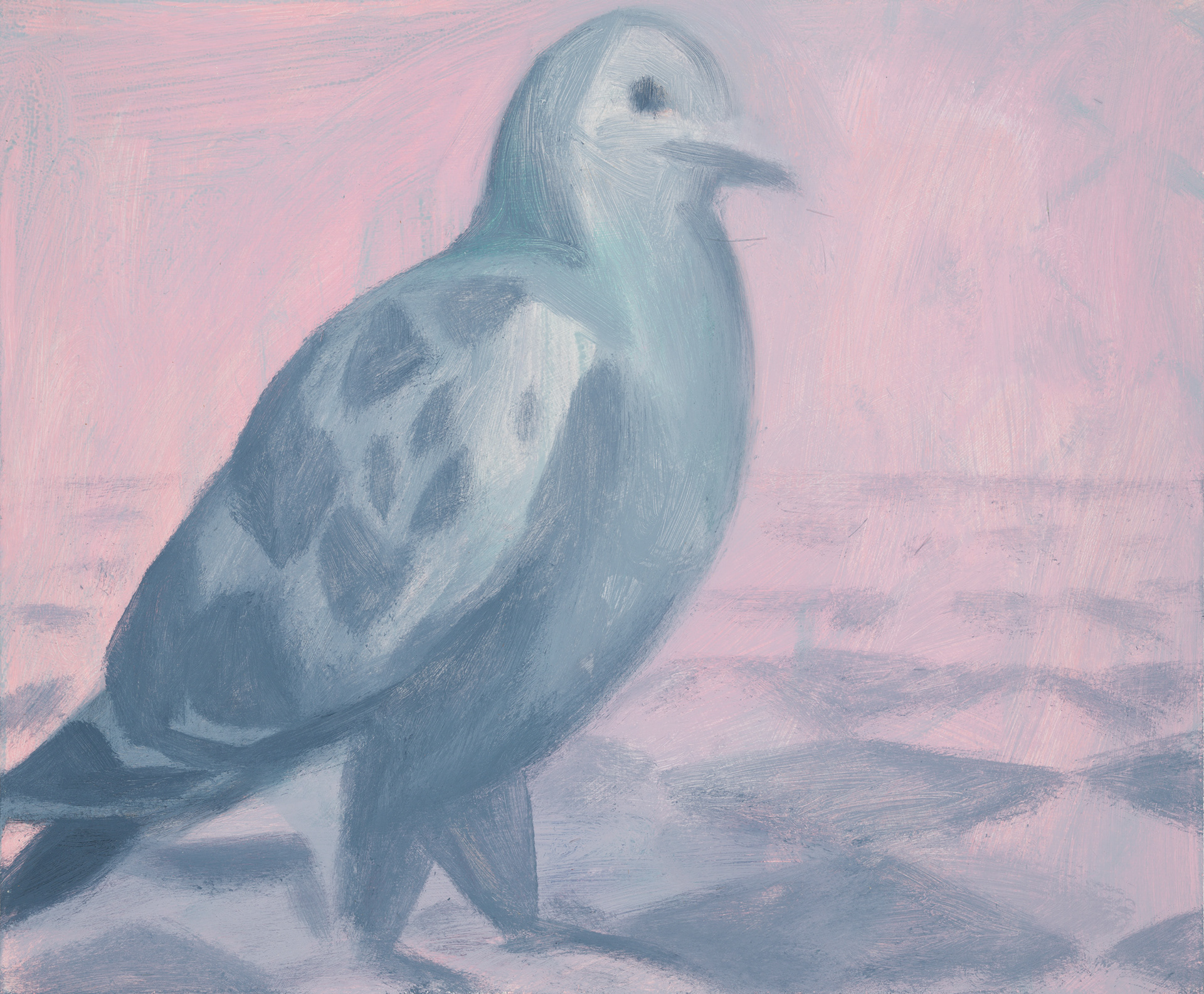 Uccelli di Roma 25_2024_25x30cm_acrylic on hardboard