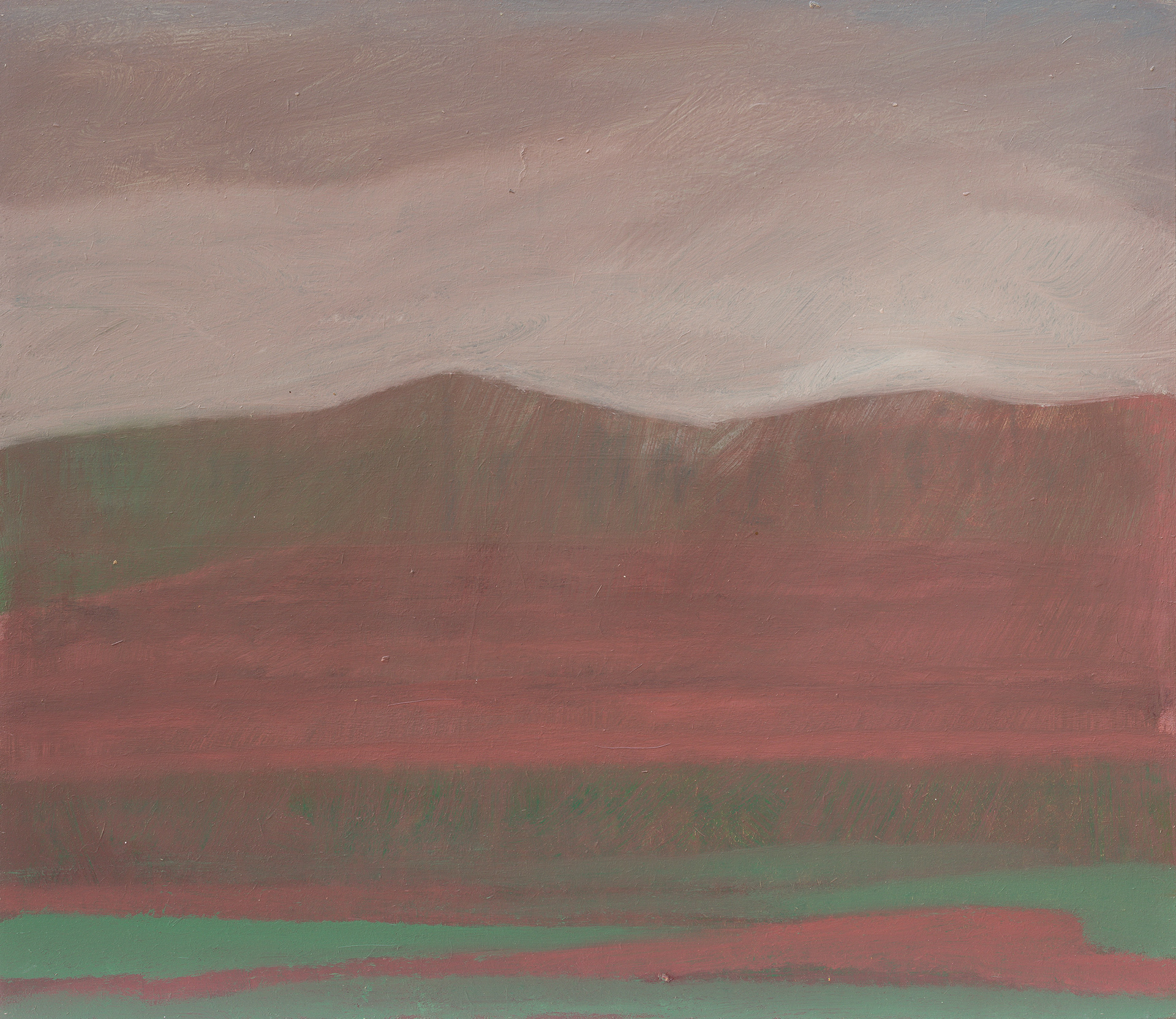 Superlandscape 19_2022_50x43.5cm_acrylic on hardboard