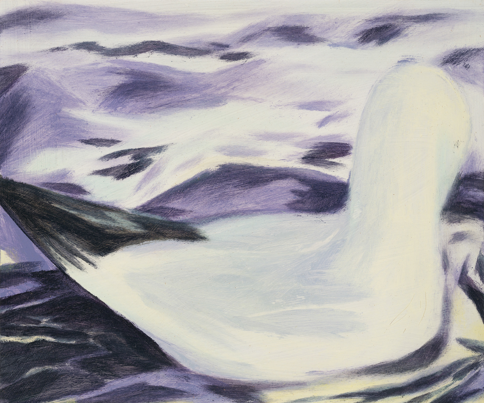 Uccelli di Roma 55_2024_25x30cm_acrylic on hardboard