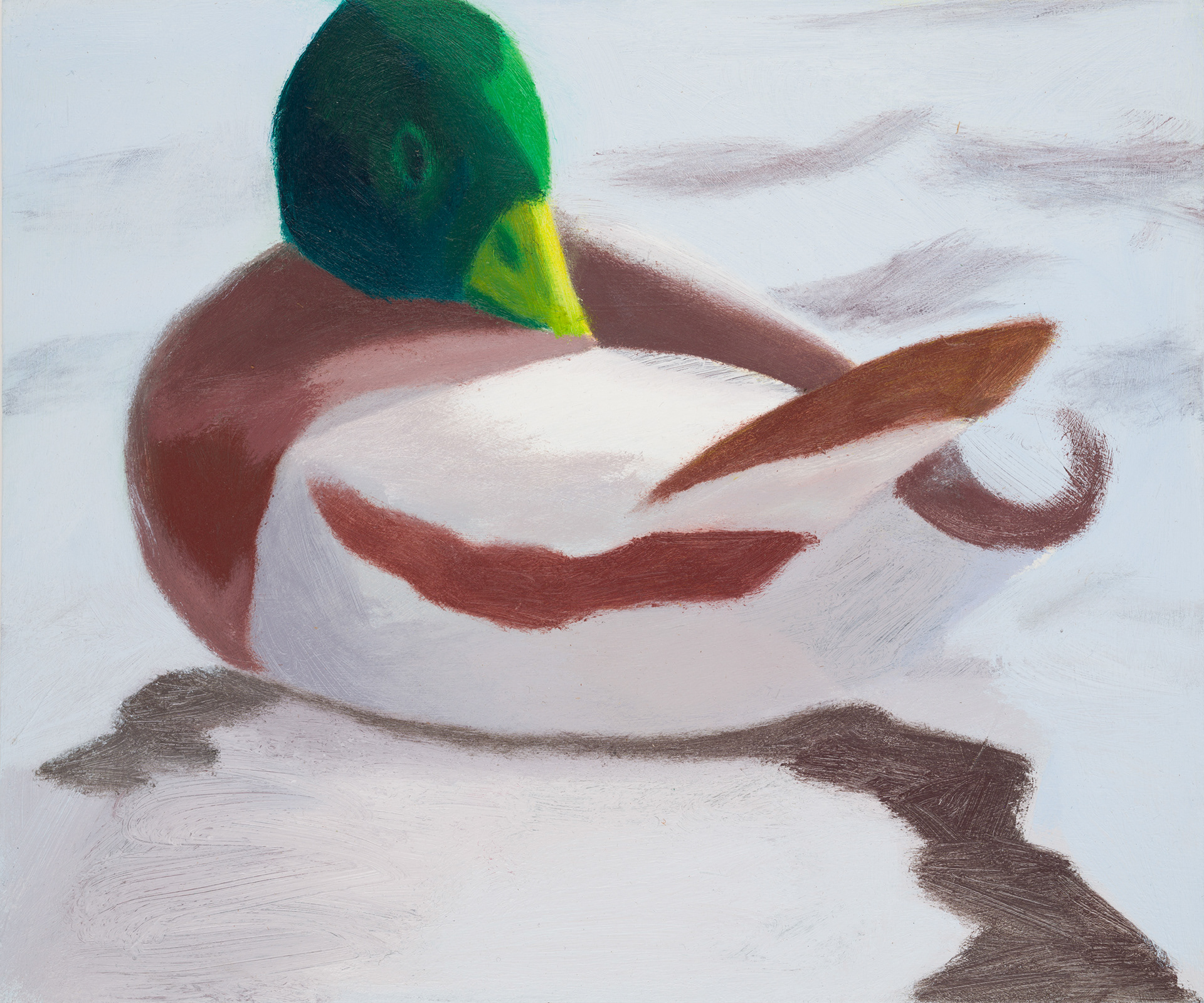 Uccelli di Roma VIII, 2024, 25x30 cm, acrylic on hardboard