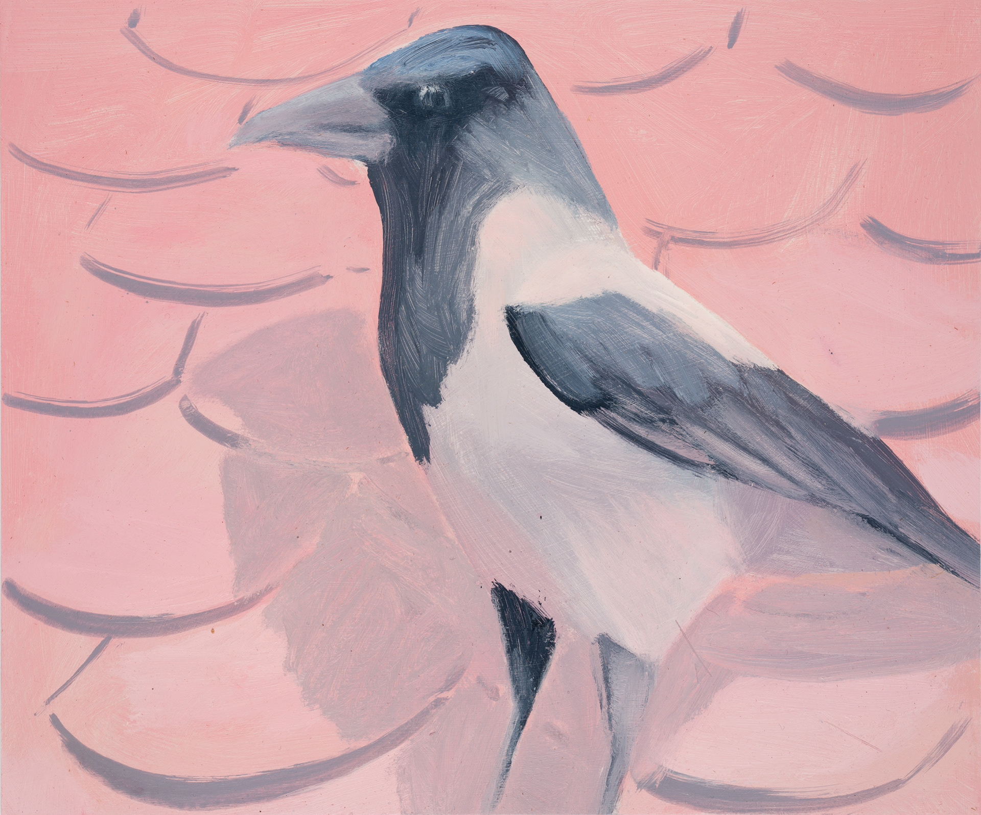 Uccelli di Roma 37_2024_25x30cm_acrylic on hardboard