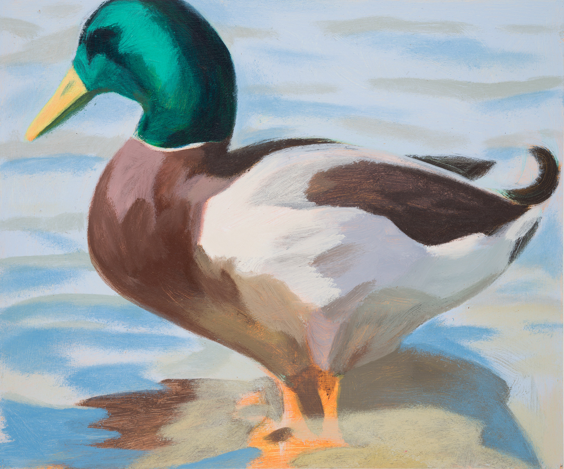 Uccelli di Roma 44_2024_25x30cm_acrylic on hardboard