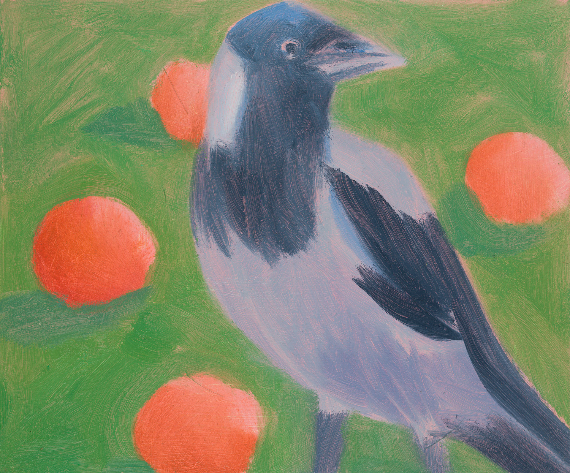 Uccelli di Roma XVI, 2024, 25x30 cm, acrylic on hardboard