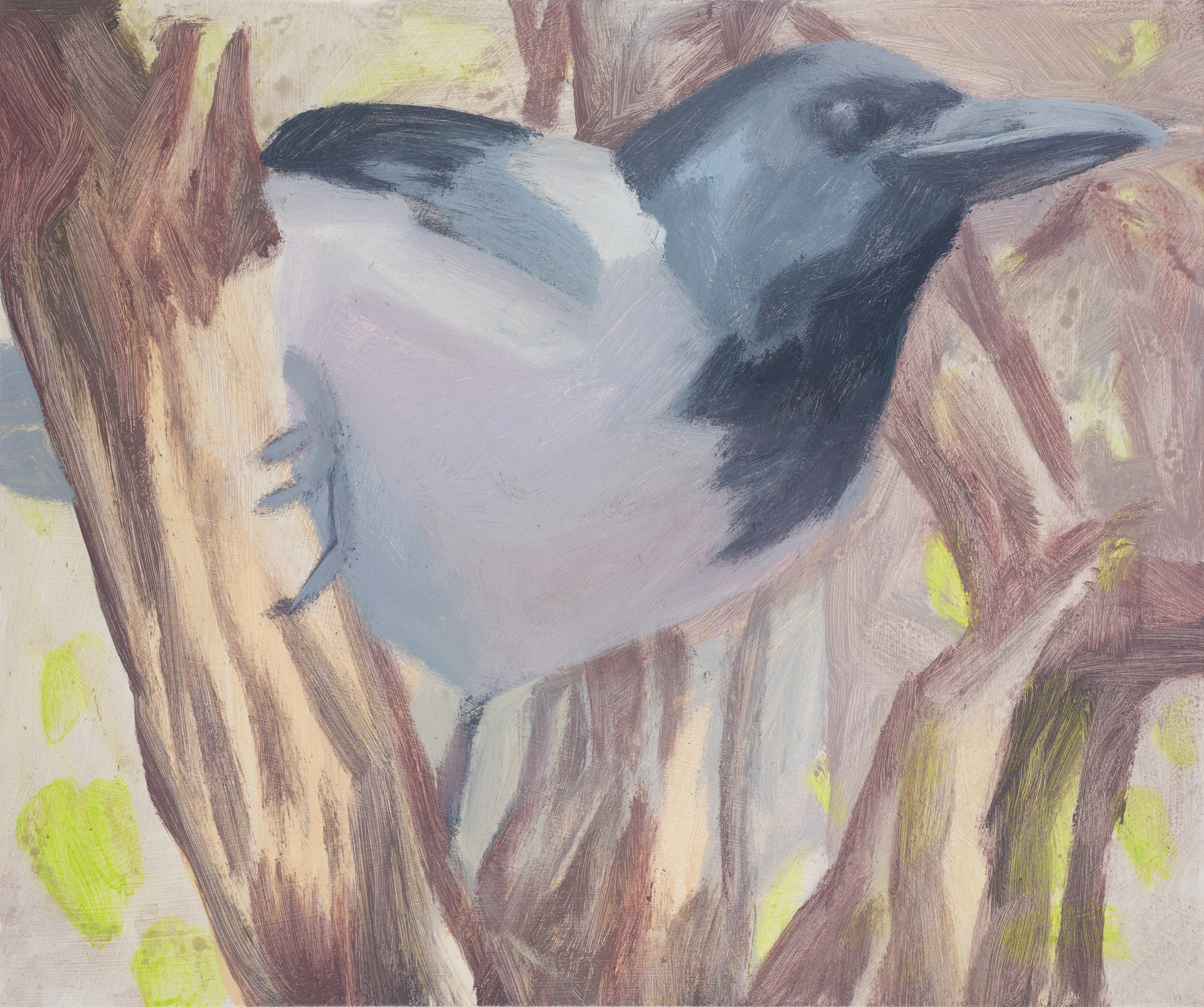 Uccelli di Roma 14_2024_25x30cm_acrylic on hardboard