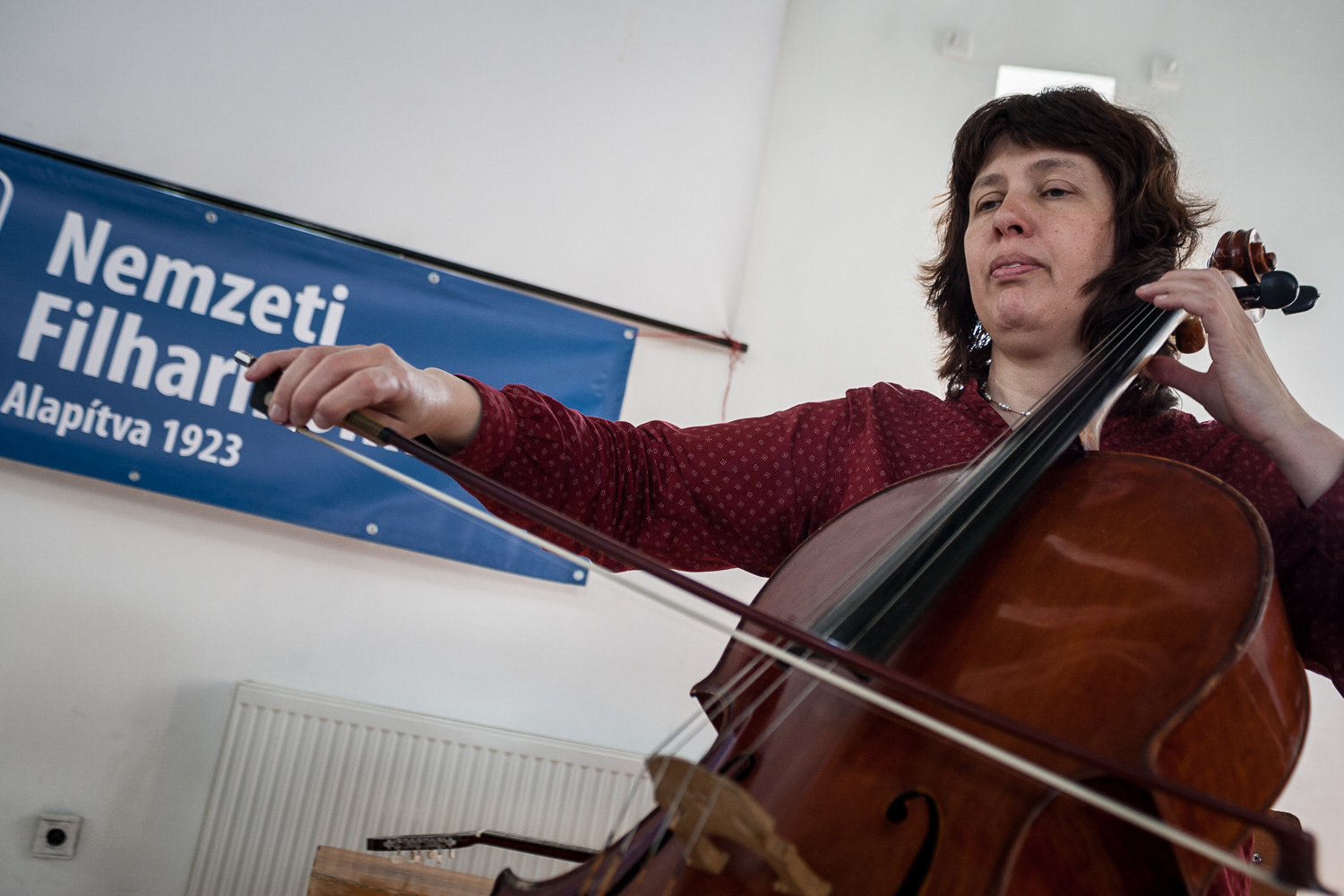 Csepel, 2016