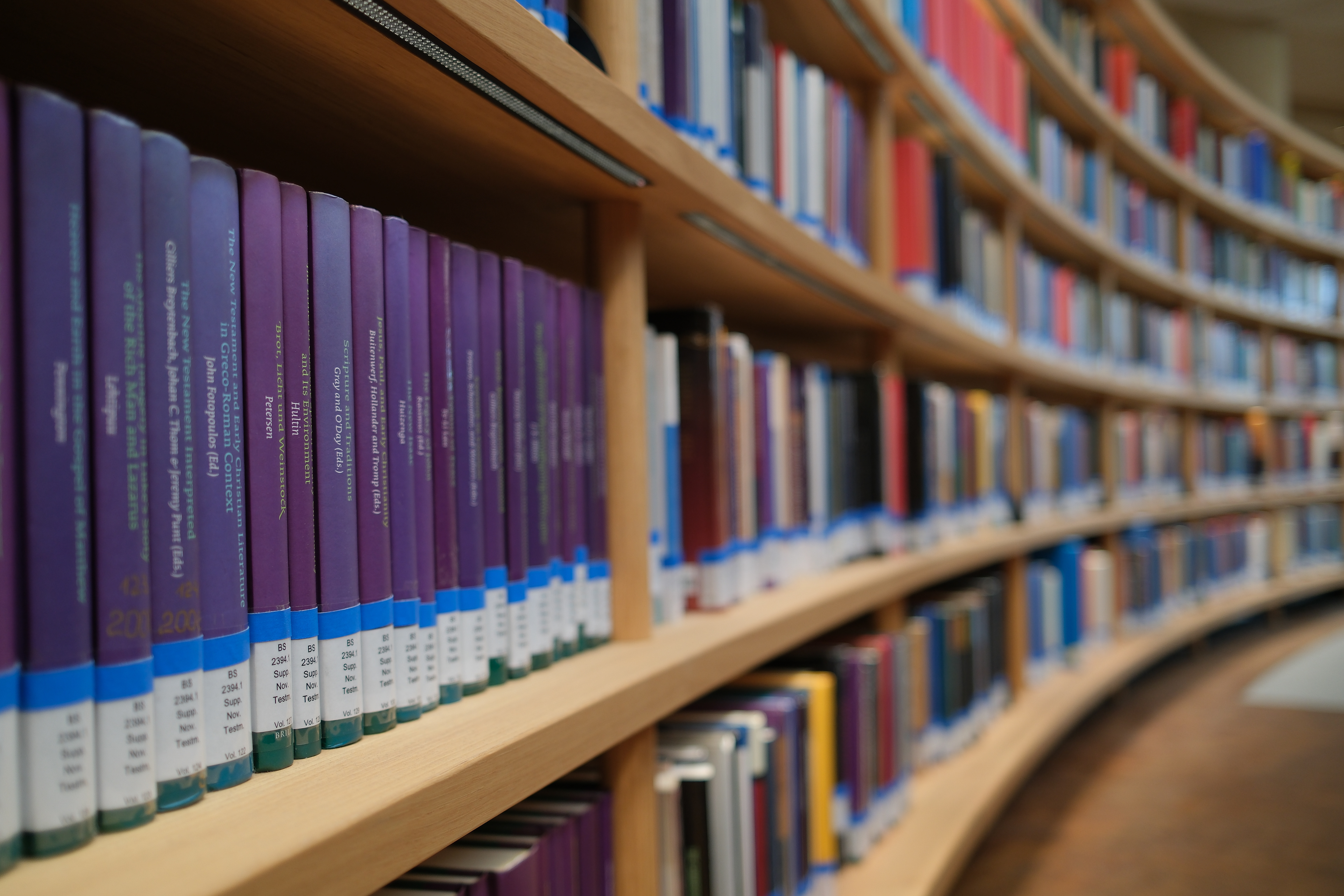 The Curvilinear Archive