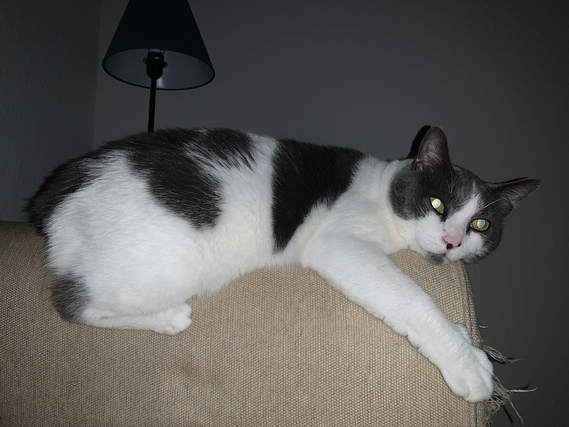 March 1, 2020 at 8:46:53 PM, 28°40'23" N 81°23'46" W, iPhone XR