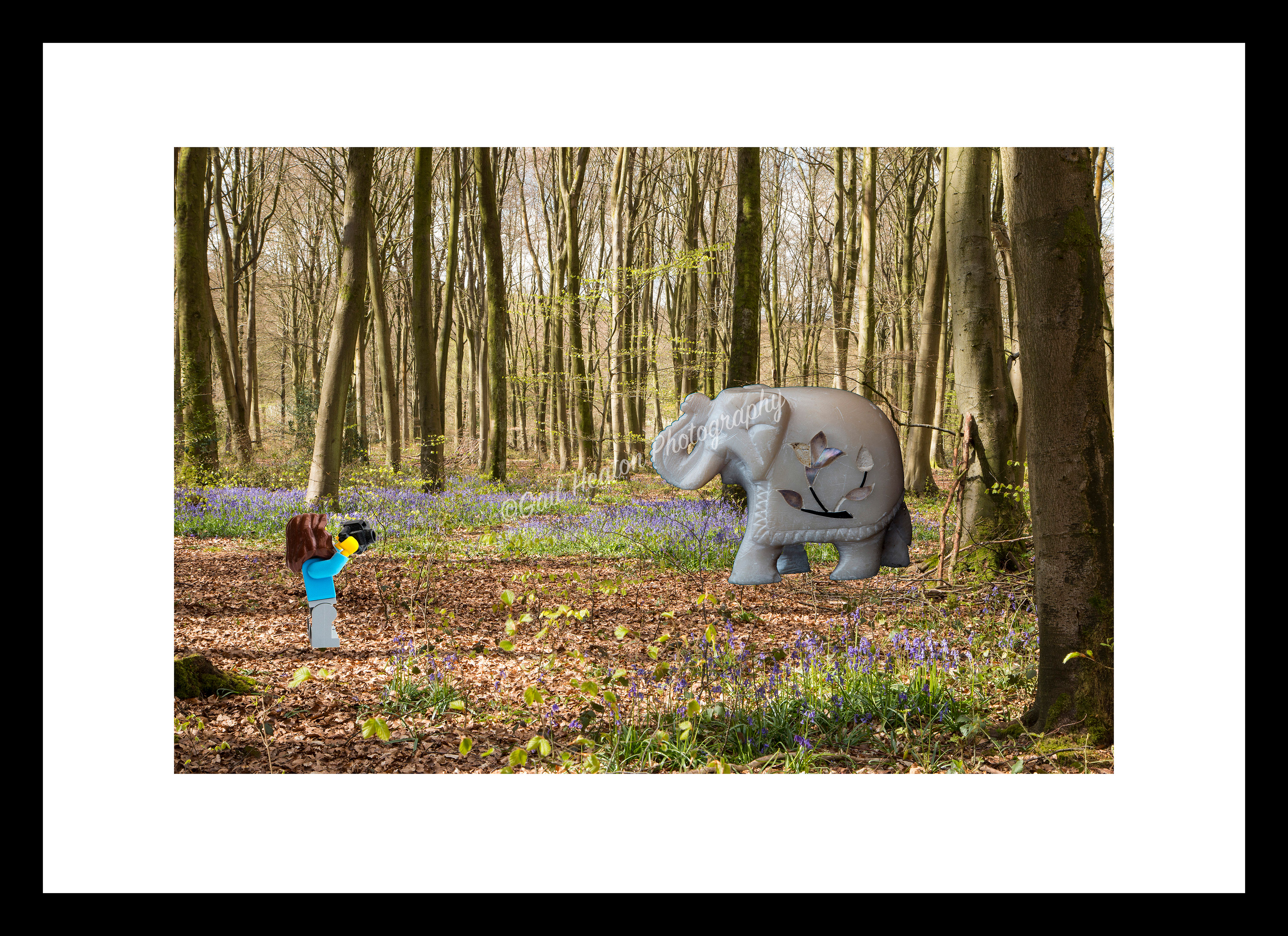 Lego Photographer