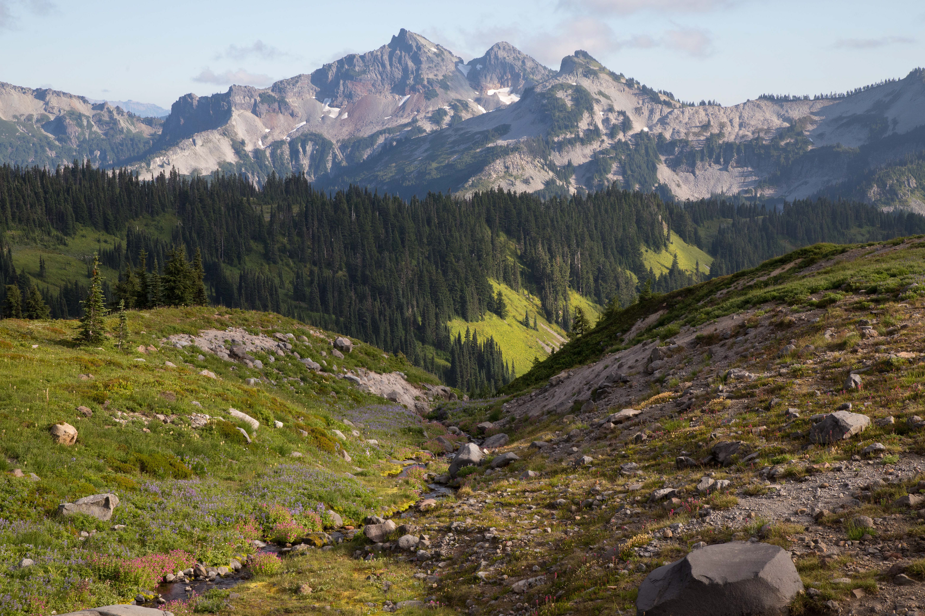 Spring vista in Mount Rainier. Mount Rainier NP, WA.