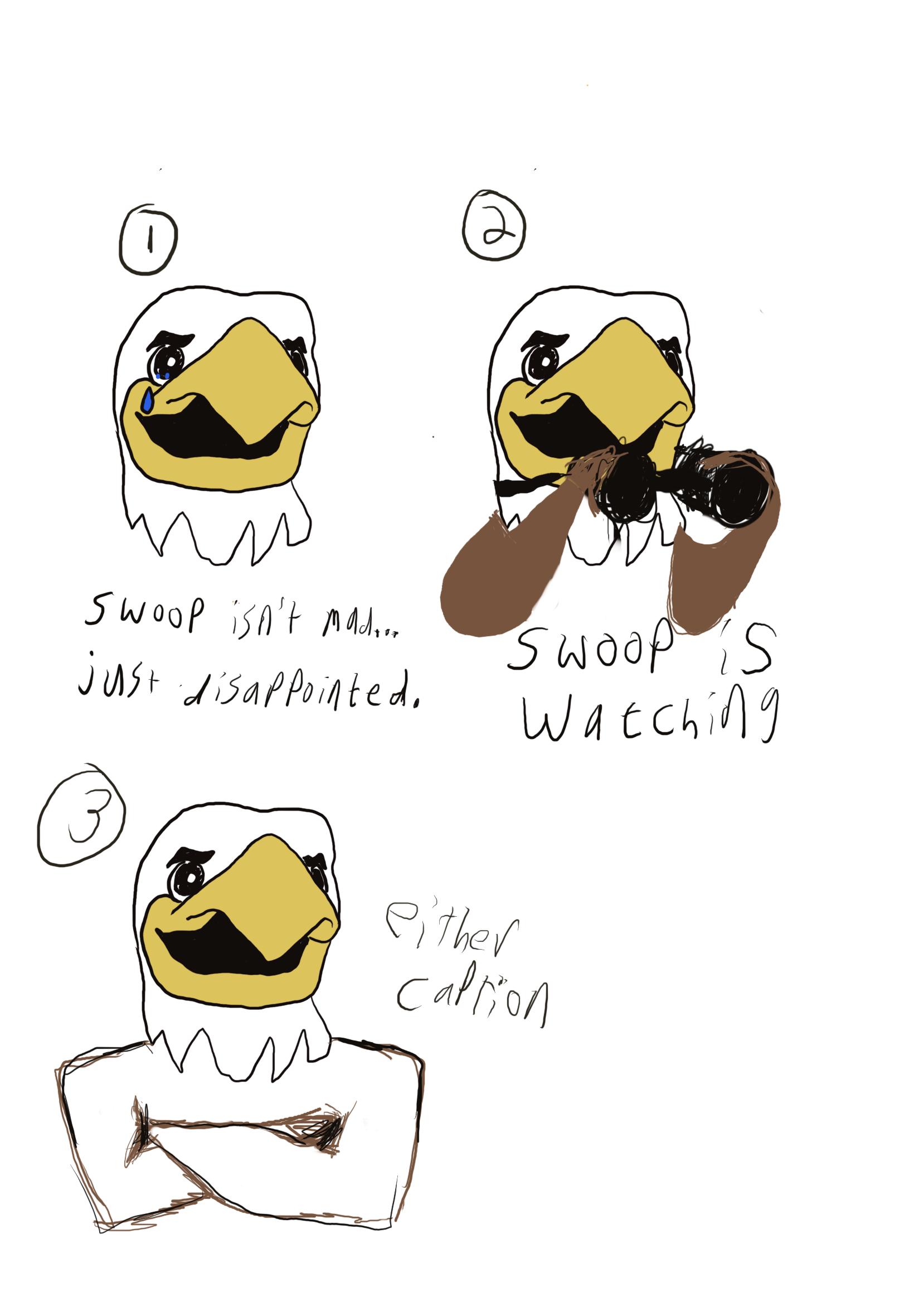 Swoop sketches