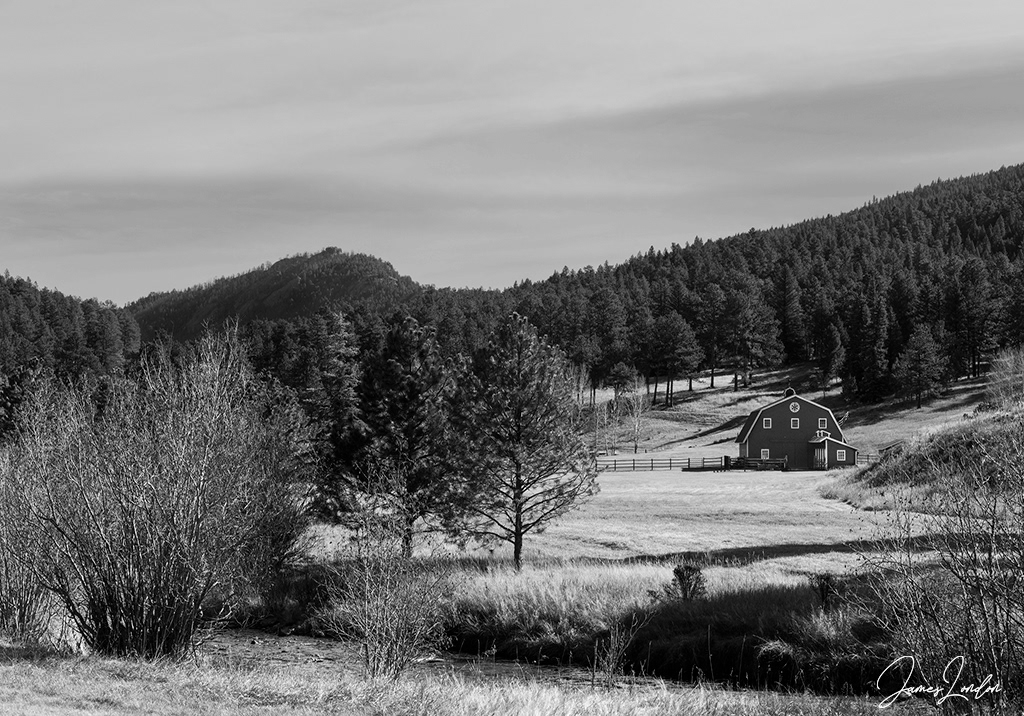 EVERGREEN NEAR MT EVANS OPEN SPACE