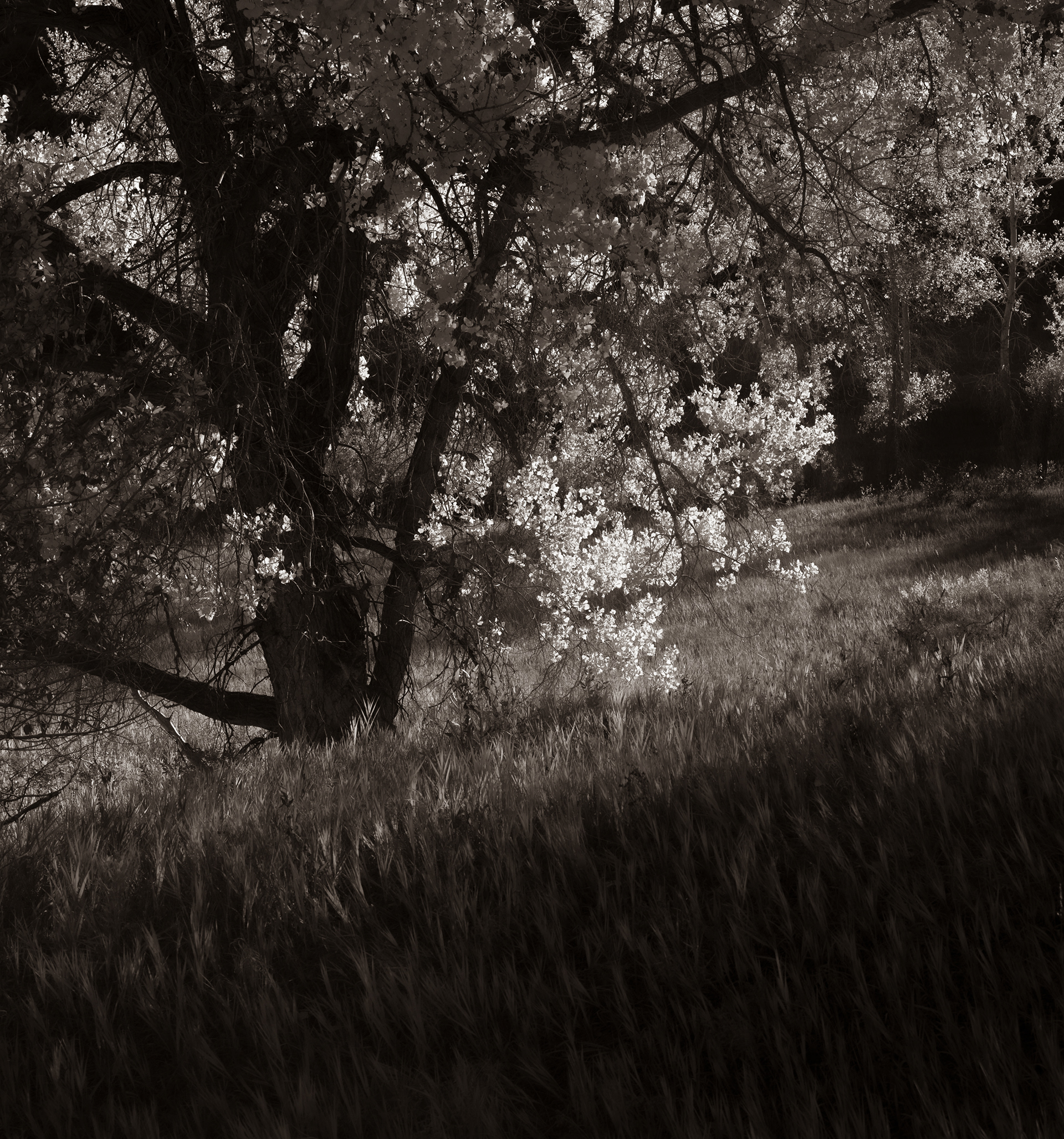 ROXBOROUGH STATE PARK, DOUGLAS COUNTY, CO